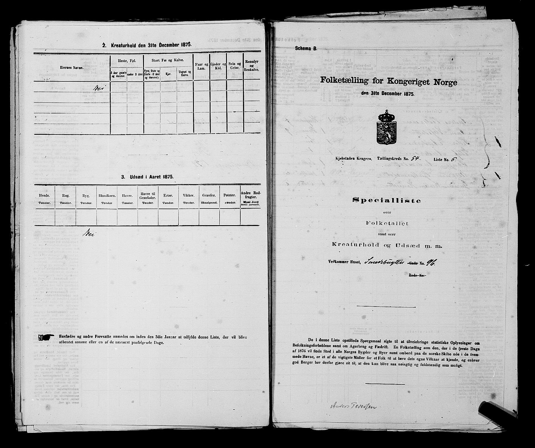 SAKO, 1875 census for 0801P Kragerø, 1875, p. 1193