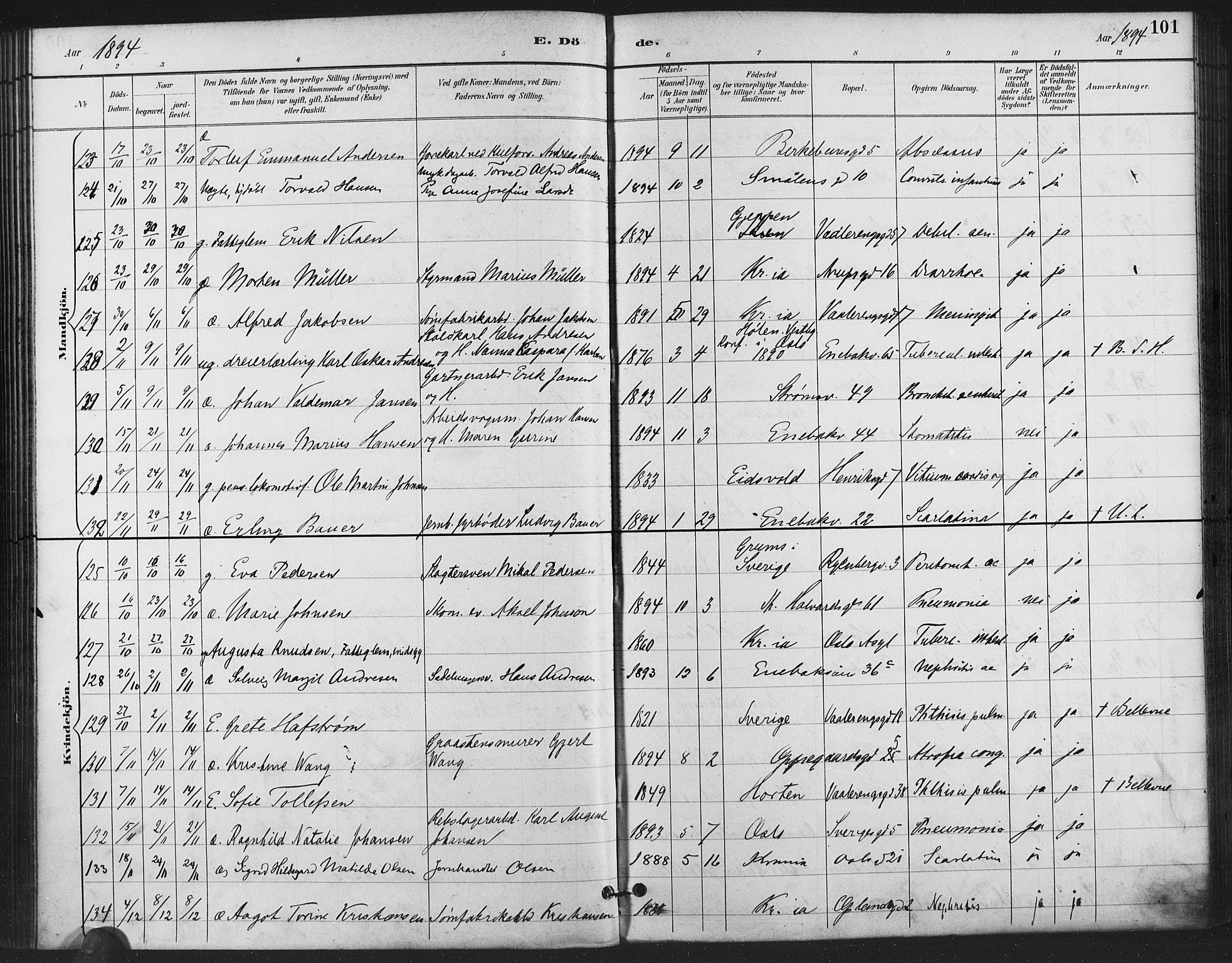 Gamlebyen prestekontor Kirkebøker, SAO/A-10884/F/Fa/L0009: Parish register (official) no. 9, 1888-1909, p. 101