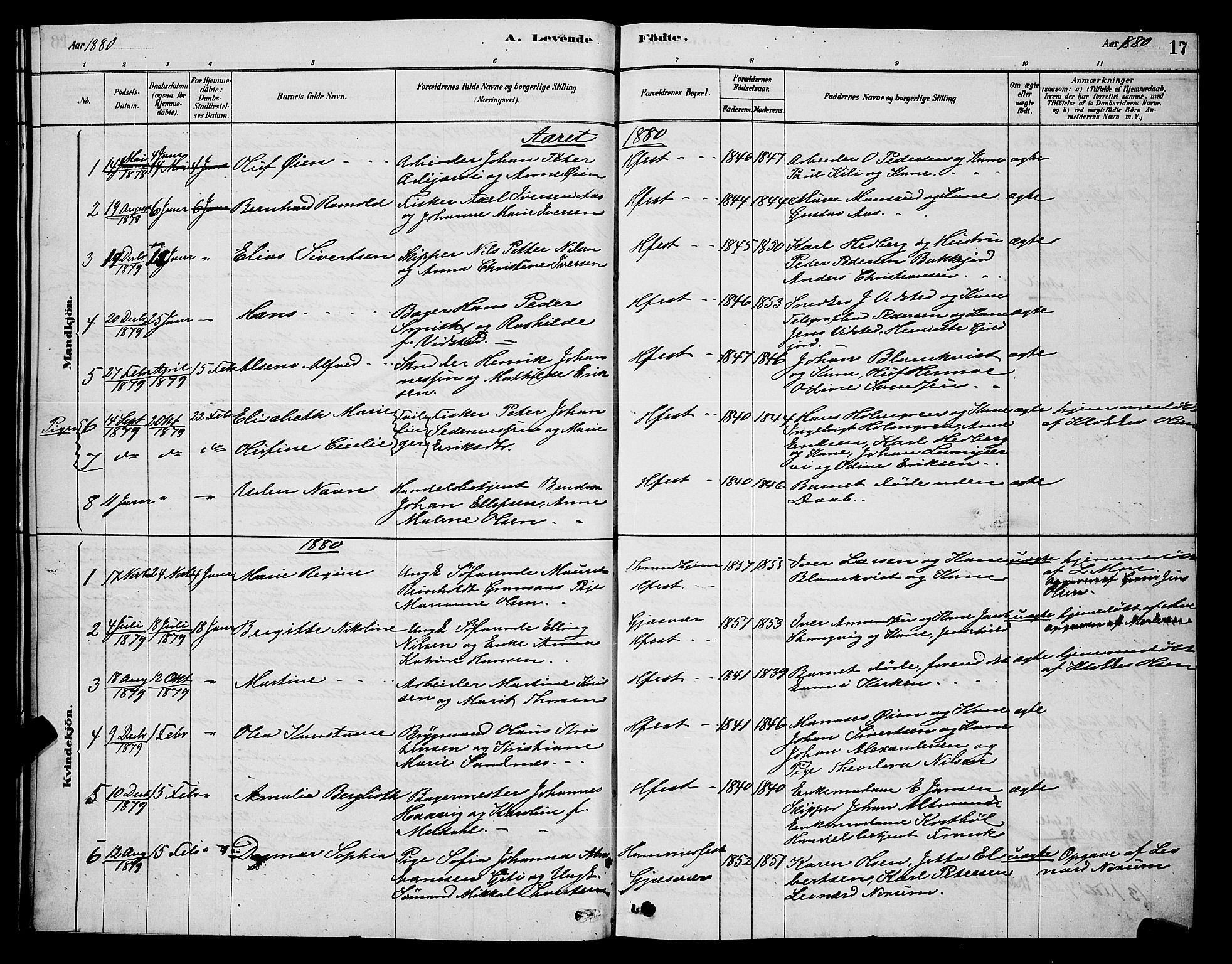 Hammerfest sokneprestkontor, SATØ/S-1347/H/Hb/L0006.klokk: Parish register (copy) no. 6, 1876-1884, p. 17