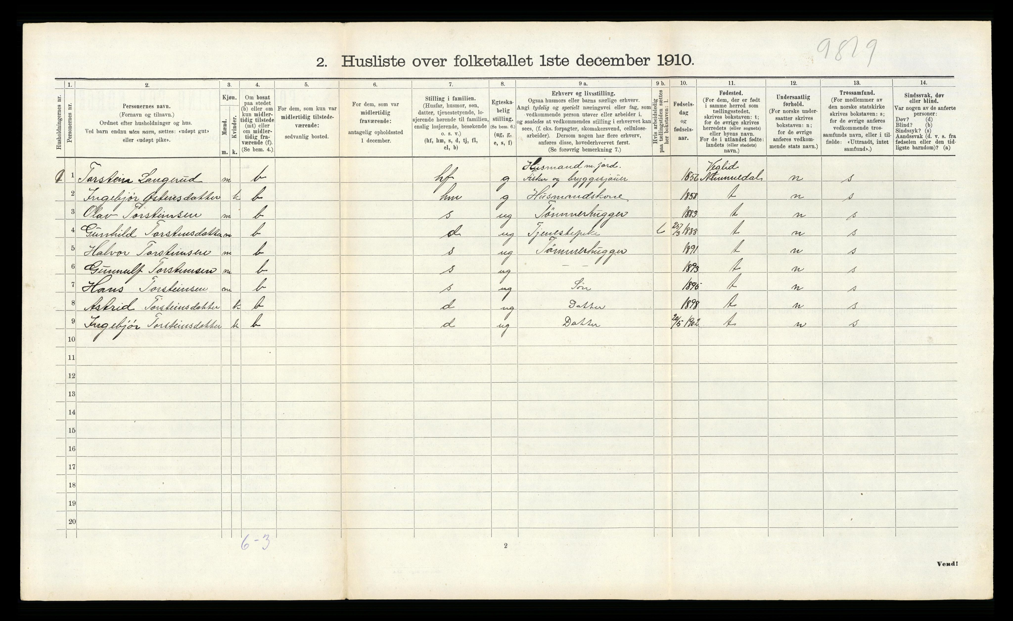 RA, 1910 census for Tinn, 1910, p. 592