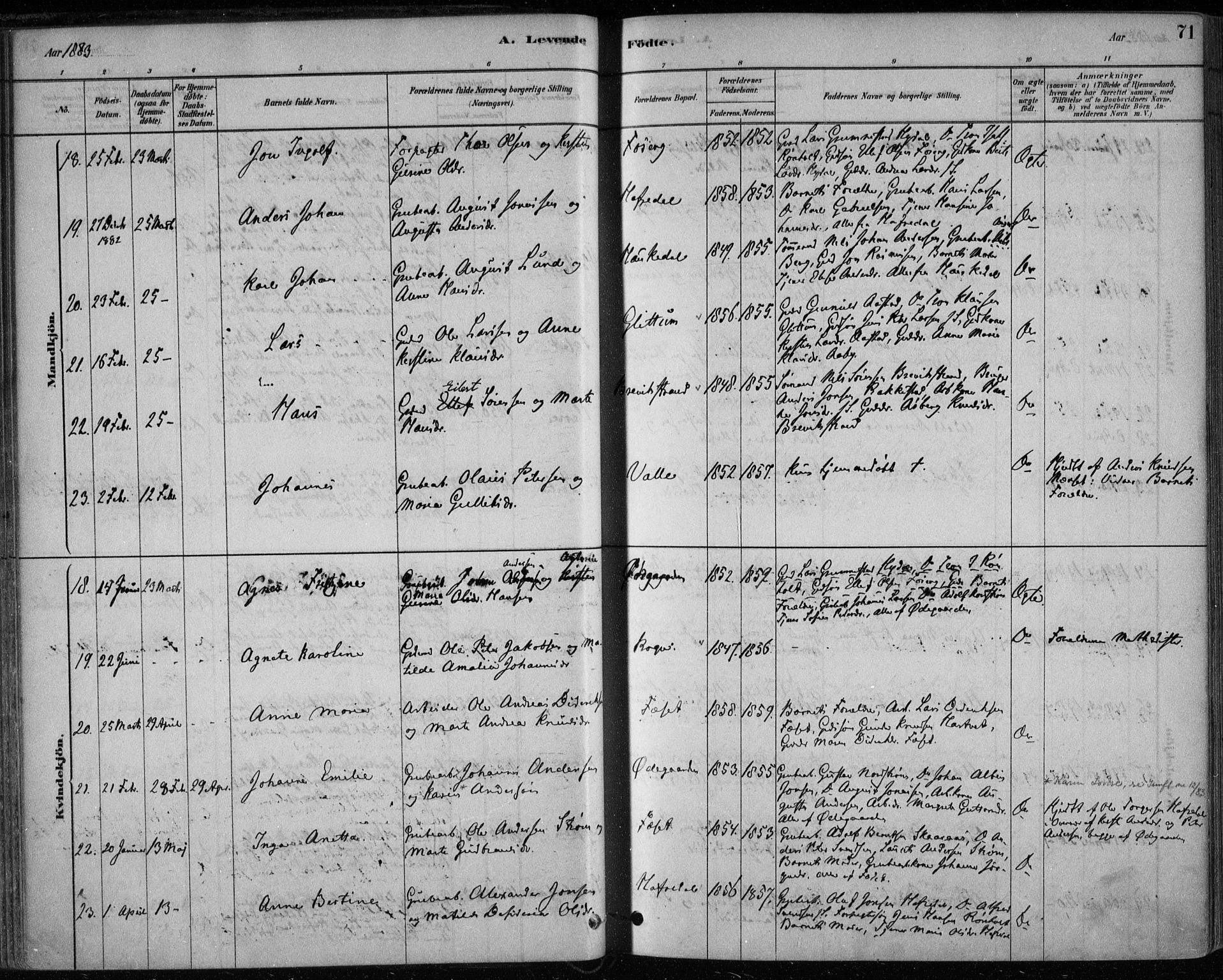 Bamble kirkebøker, AV/SAKO-A-253/F/Fa/L0007: Parish register (official) no. I 7, 1878-1888, p. 71