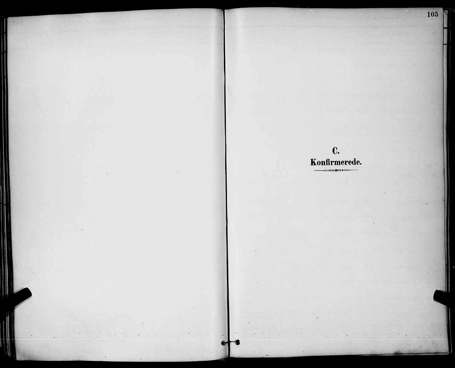 Brevik kirkebøker, SAKO/A-255/G/Ga/L0004: Parish register (copy) no. 4, 1882-1900, p. 105
