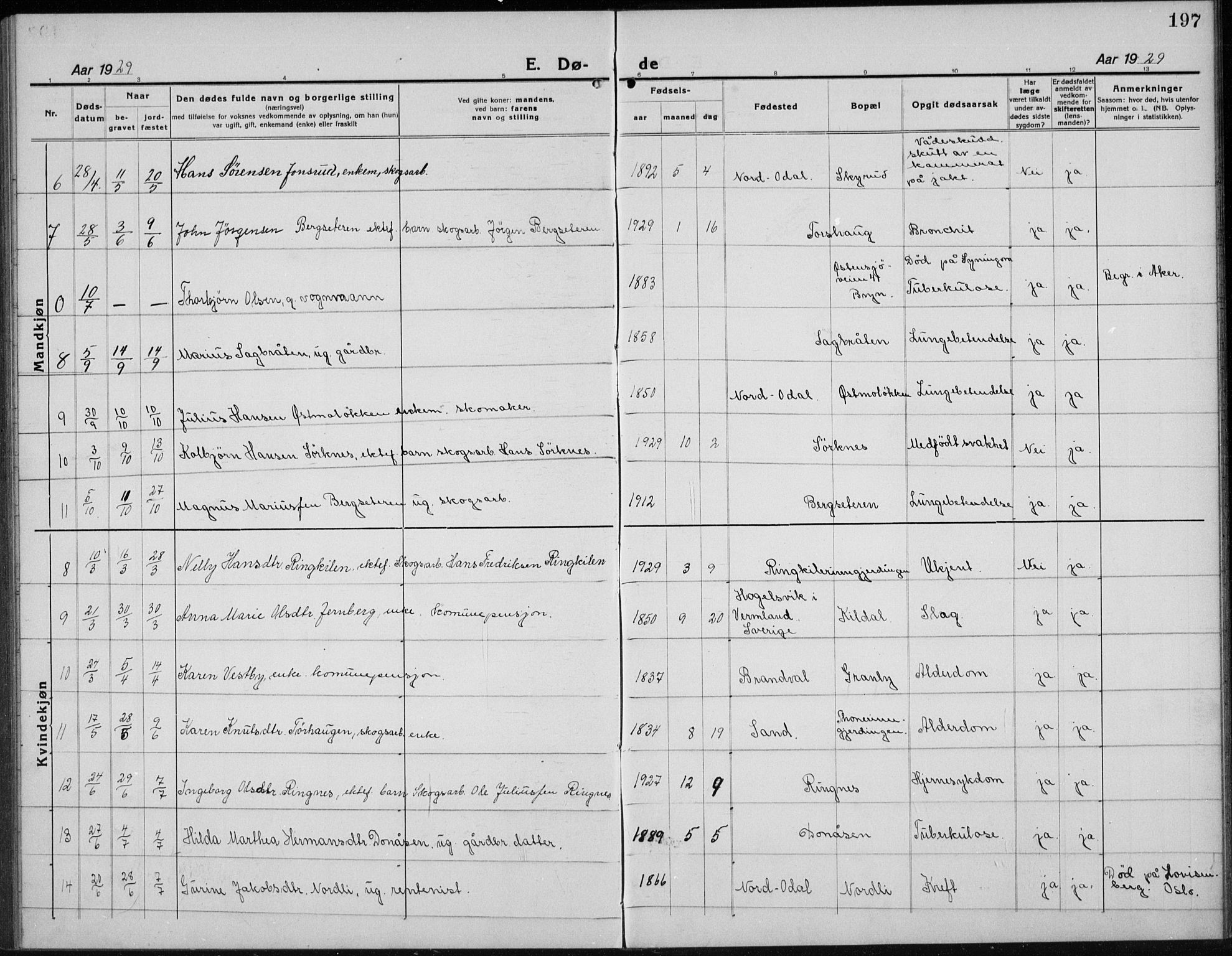 Nord-Odal prestekontor, AV/SAH-PREST-032/H/Ha/Hab/L0004: Parish register (copy) no. 4, 1921-1936, p. 197