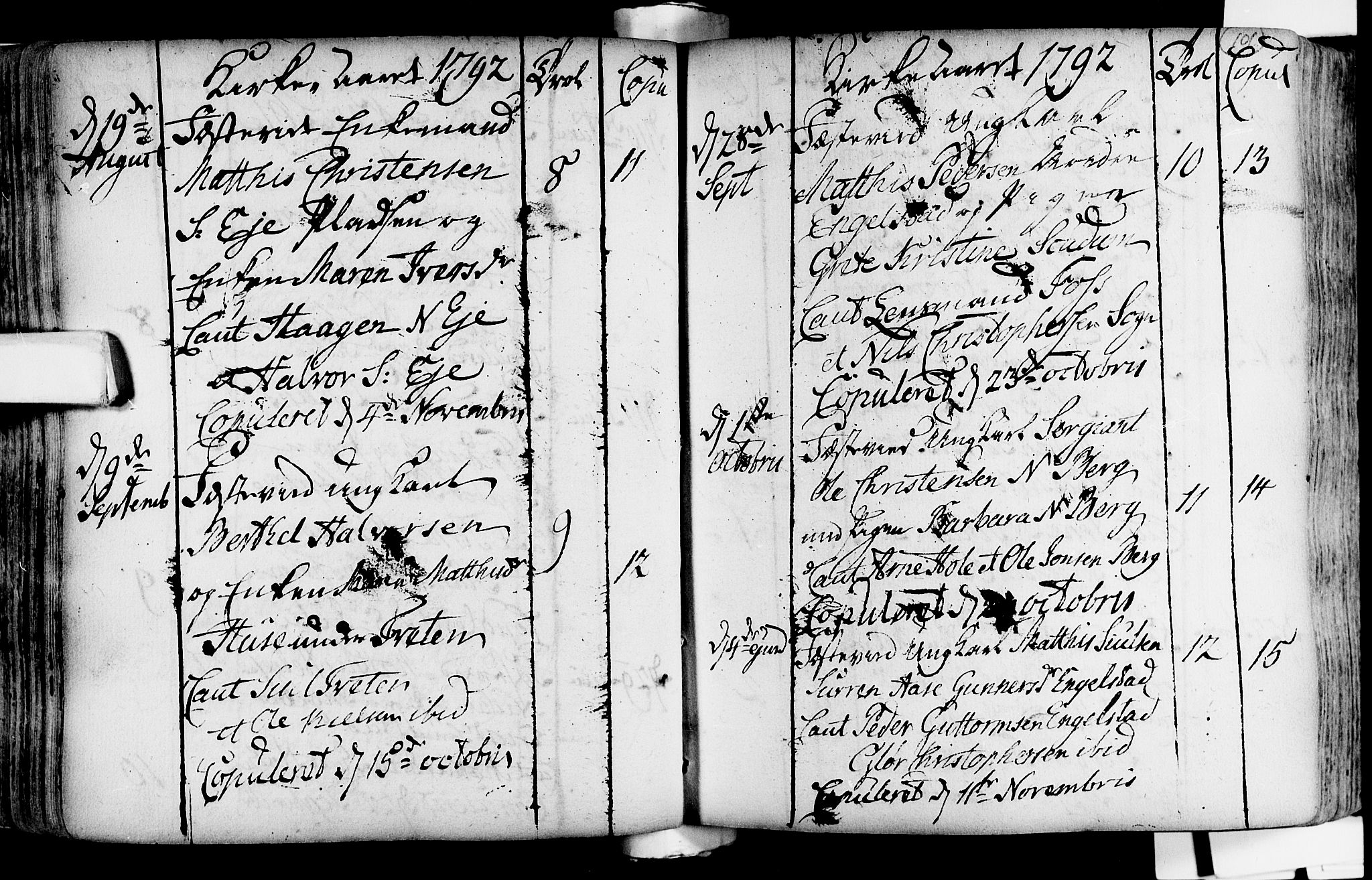 Lardal kirkebøker, SAKO/A-350/F/Fa/L0004: Parish register (official) no. i 4, 1733-1815, p. 101