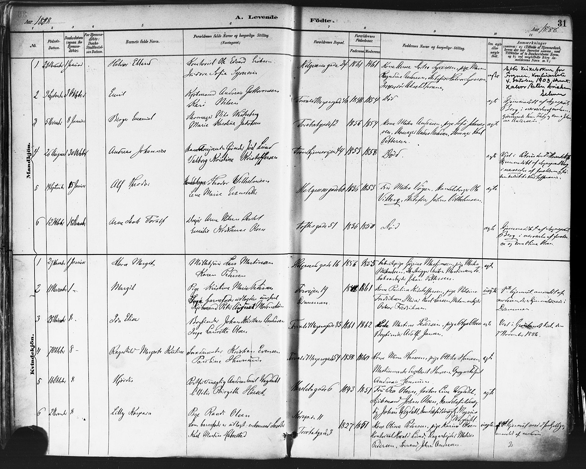 Paulus prestekontor Kirkebøker, SAO/A-10871/F/Fa/L0013: Parish register (official) no. 13, 1887-1894, p. 31