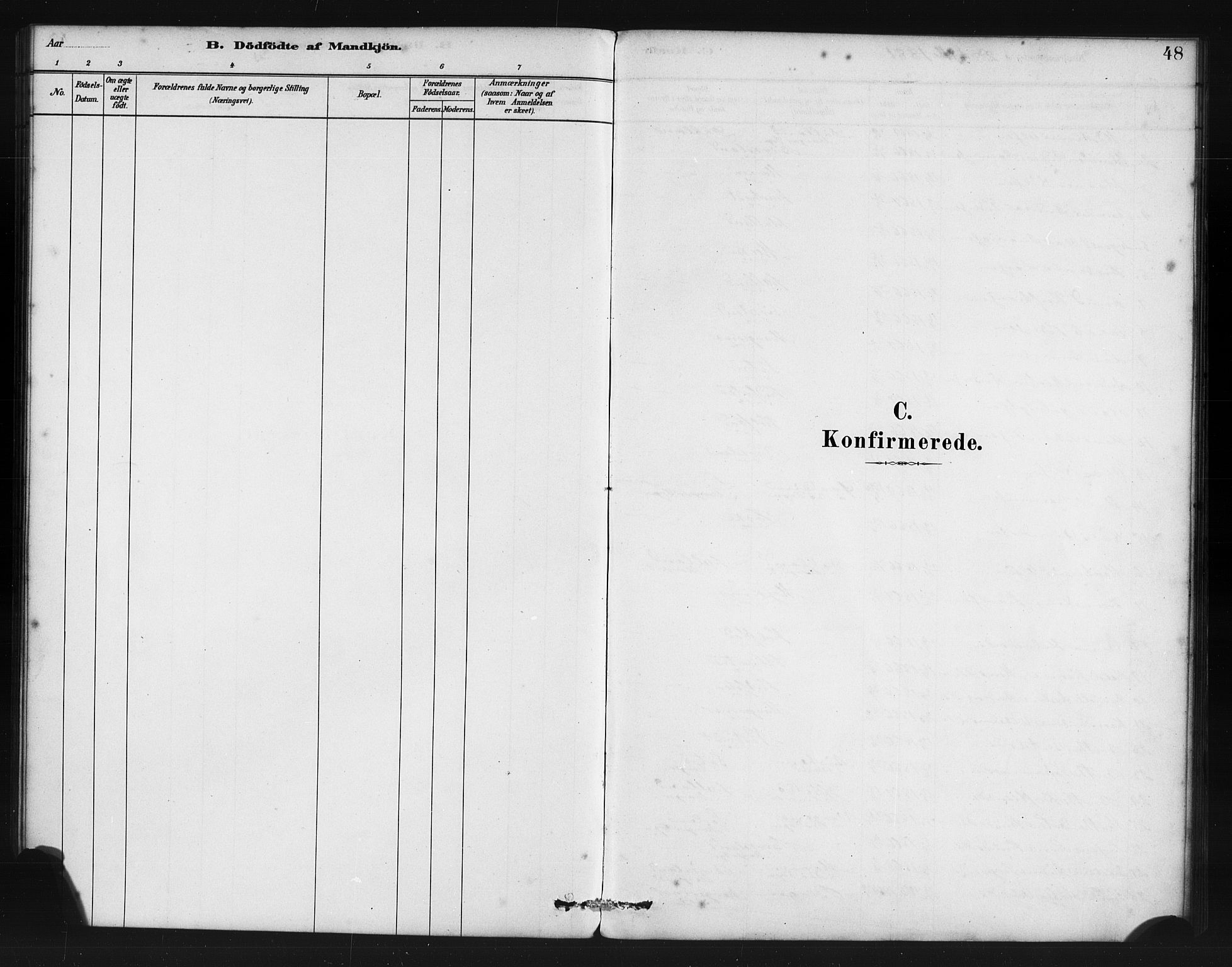 Manger sokneprestembete, SAB/A-76801/H/Haa: Parish register (official) no. B 1, 1881-1892, p. 48