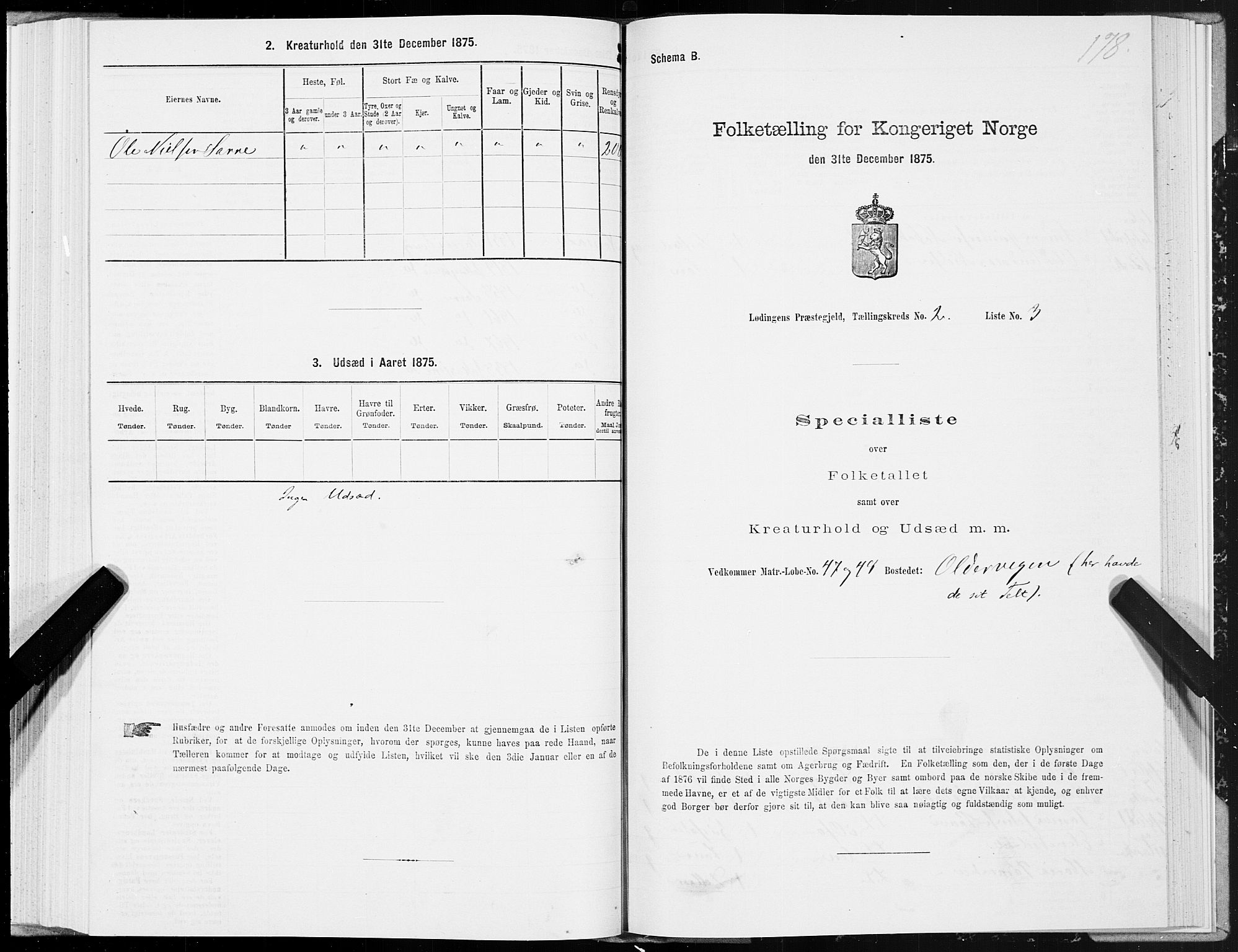 SAT, 1875 census for 1851P Lødingen, 1875, p. 1178