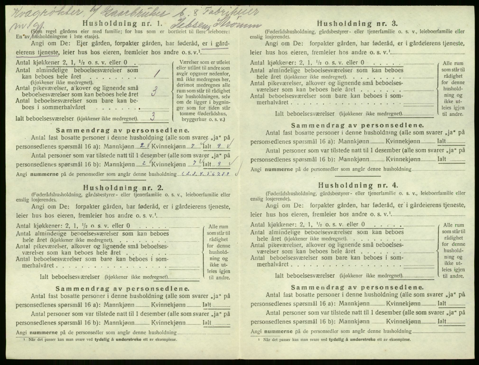 SAKO, 1920 census for Strømm, 1920, p. 29