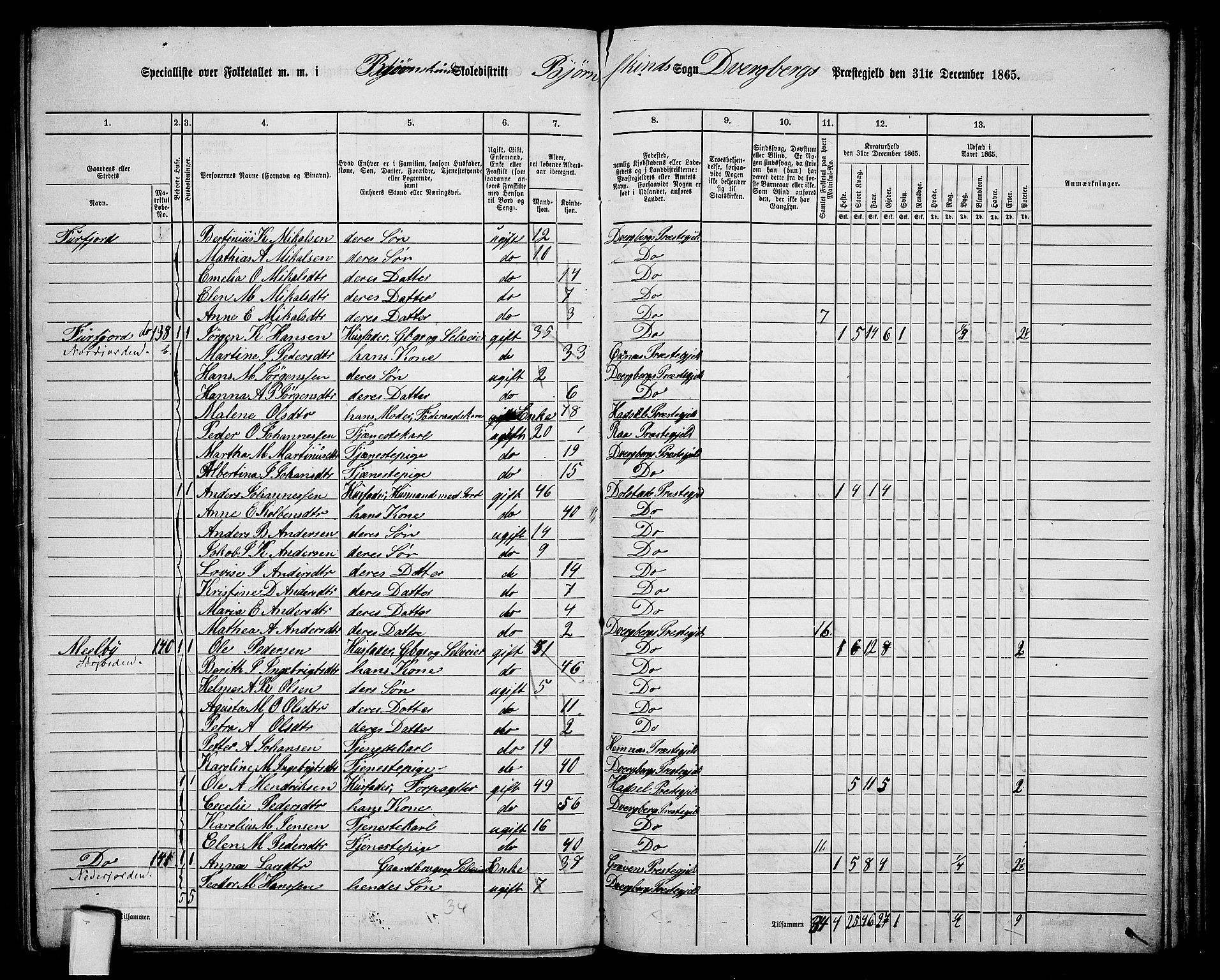 RA, 1865 census for Dverberg, 1865, p. 45
