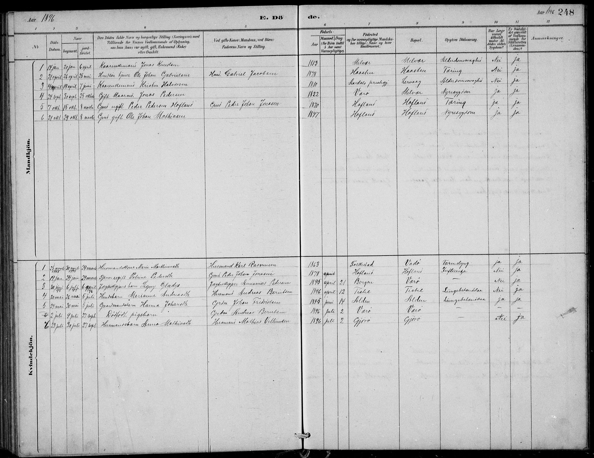 Askvoll sokneprestembete, SAB/A-79501/H/Hab/Habb/L0001: Parish register (copy) no. B 1, 1879-1909, p. 248
