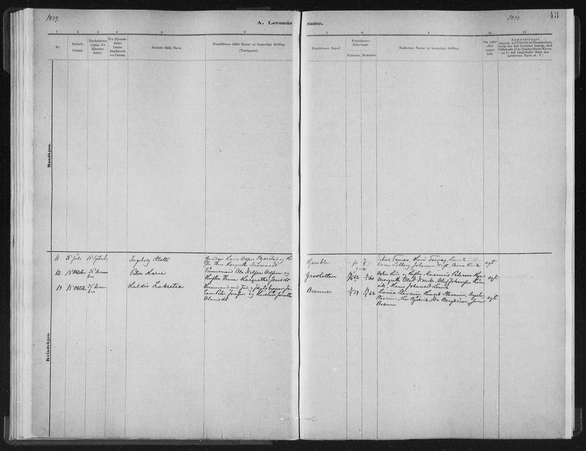 Ministerialprotokoller, klokkerbøker og fødselsregistre - Nord-Trøndelag, AV/SAT-A-1458/722/L0220: Parish register (official) no. 722A07, 1881-1908, p. 43