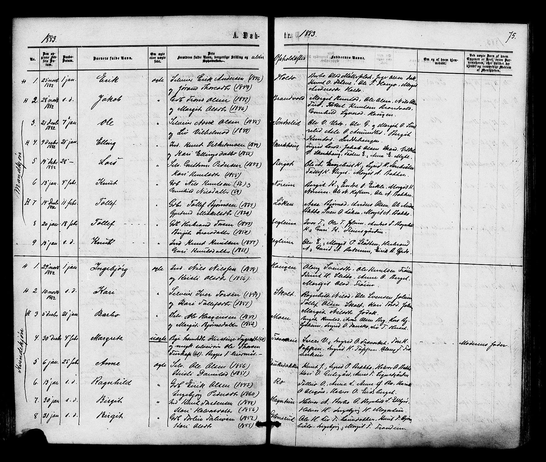 Gol kirkebøker, SAKO/A-226/F/Fa/L0004: Parish register (official) no. I 4, 1876-1886, p. 75
