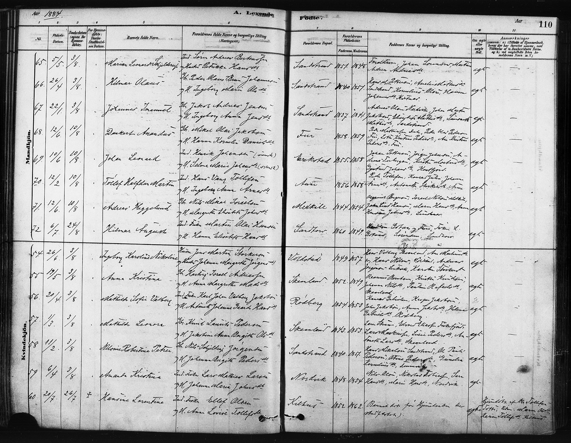 Trondenes sokneprestkontor, SATØ/S-1319/H/Ha/L0014kirke: Parish register (official) no. 14, 1878-1889, p. 110