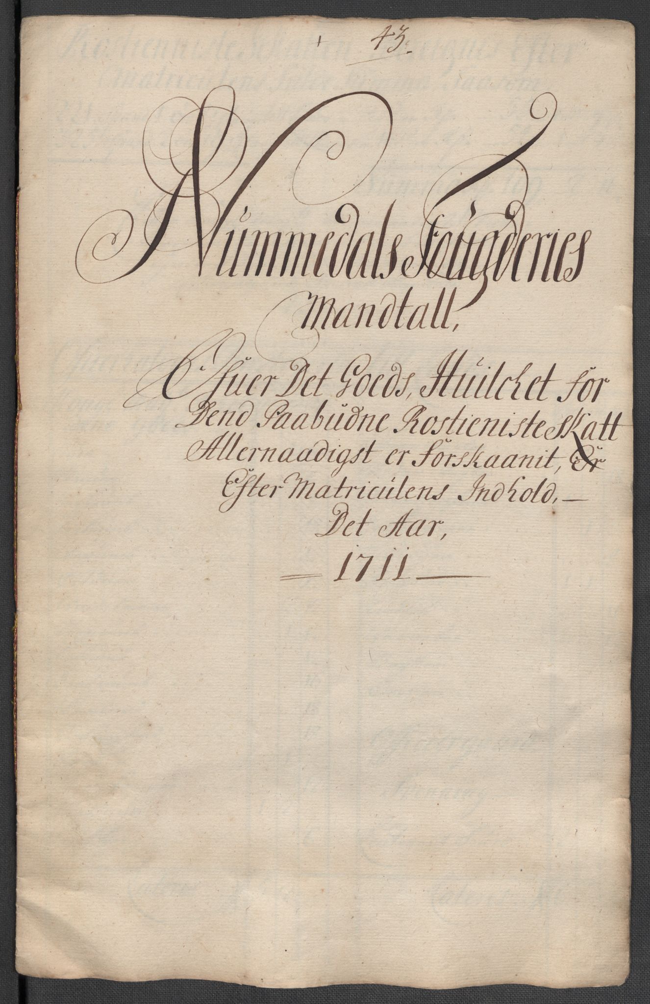 Rentekammeret inntil 1814, Reviderte regnskaper, Fogderegnskap, AV/RA-EA-4092/R64/L4432: Fogderegnskap Namdal, 1711, p. 229