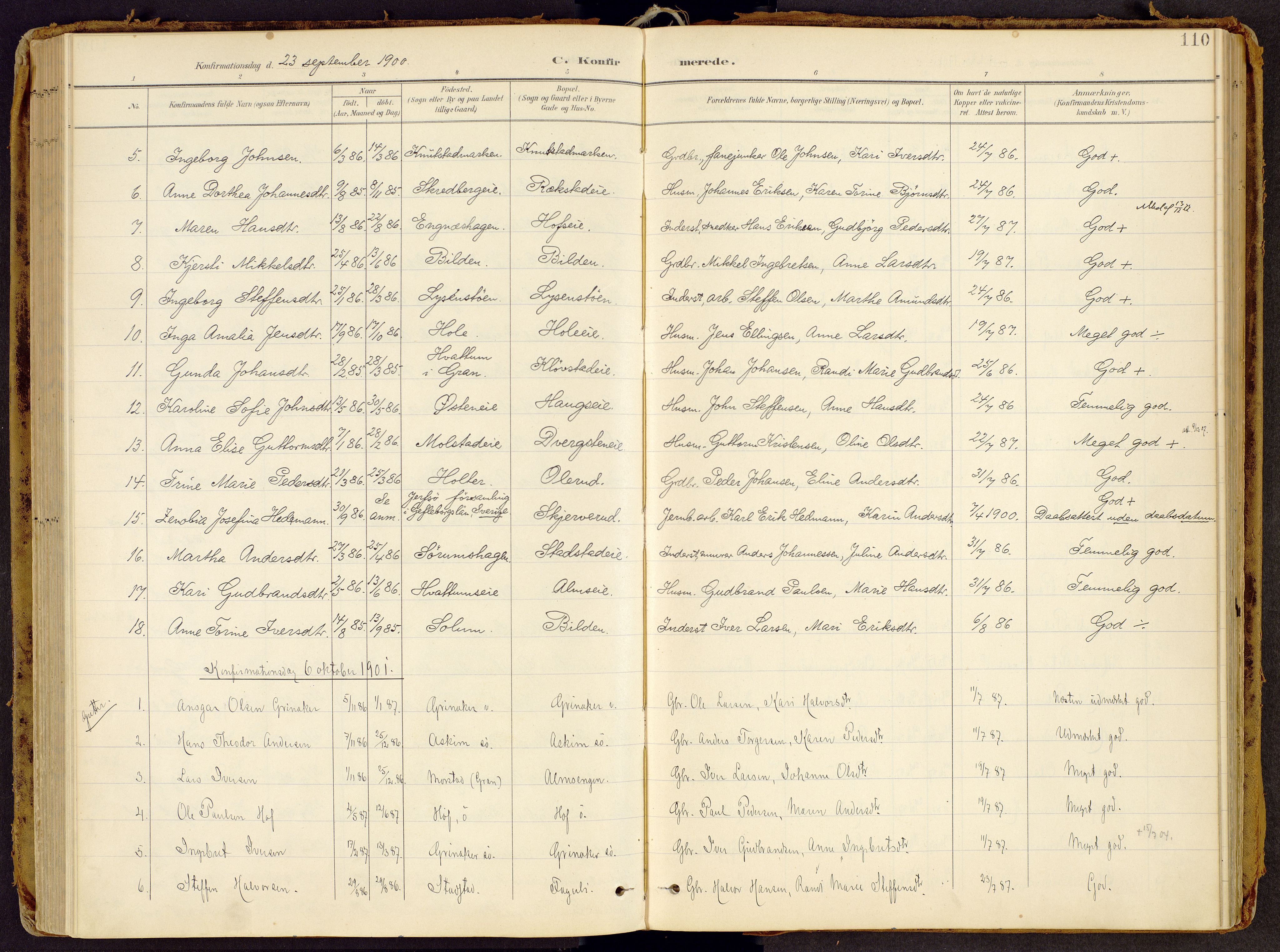 Brandbu prestekontor, SAH/PREST-114/H/Ha/Haa/L0002: Parish register (official) no. 2, 1899-1914, p. 110