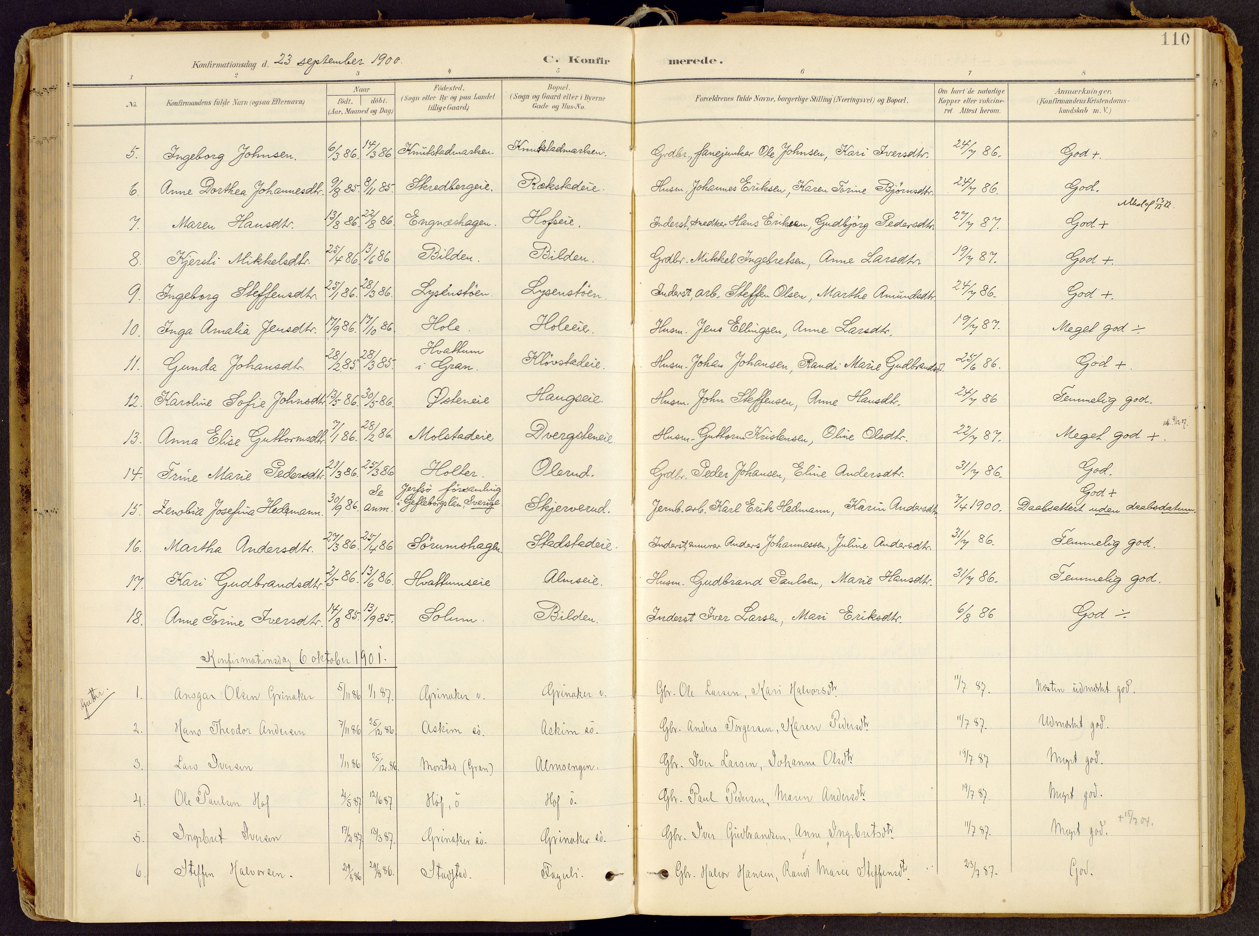 Brandbu prestekontor, AV/SAH-PREST-114/H/Ha/Haa/L0002: Parish register (official) no. 2, 1899-1914, p. 110