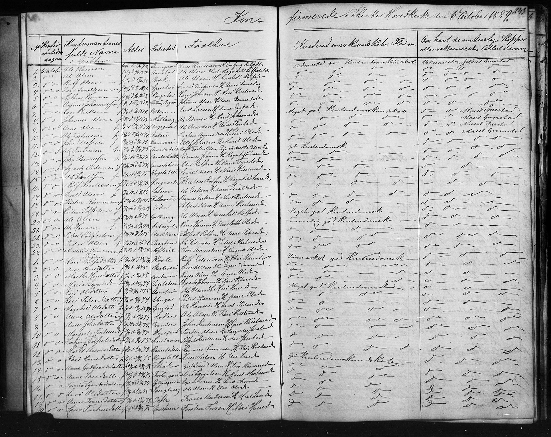 Skjåk prestekontor, SAH/PREST-072/H/Ha/Hab/L0001: Parish register (copy) no. 1, 1865-1893, p. 243