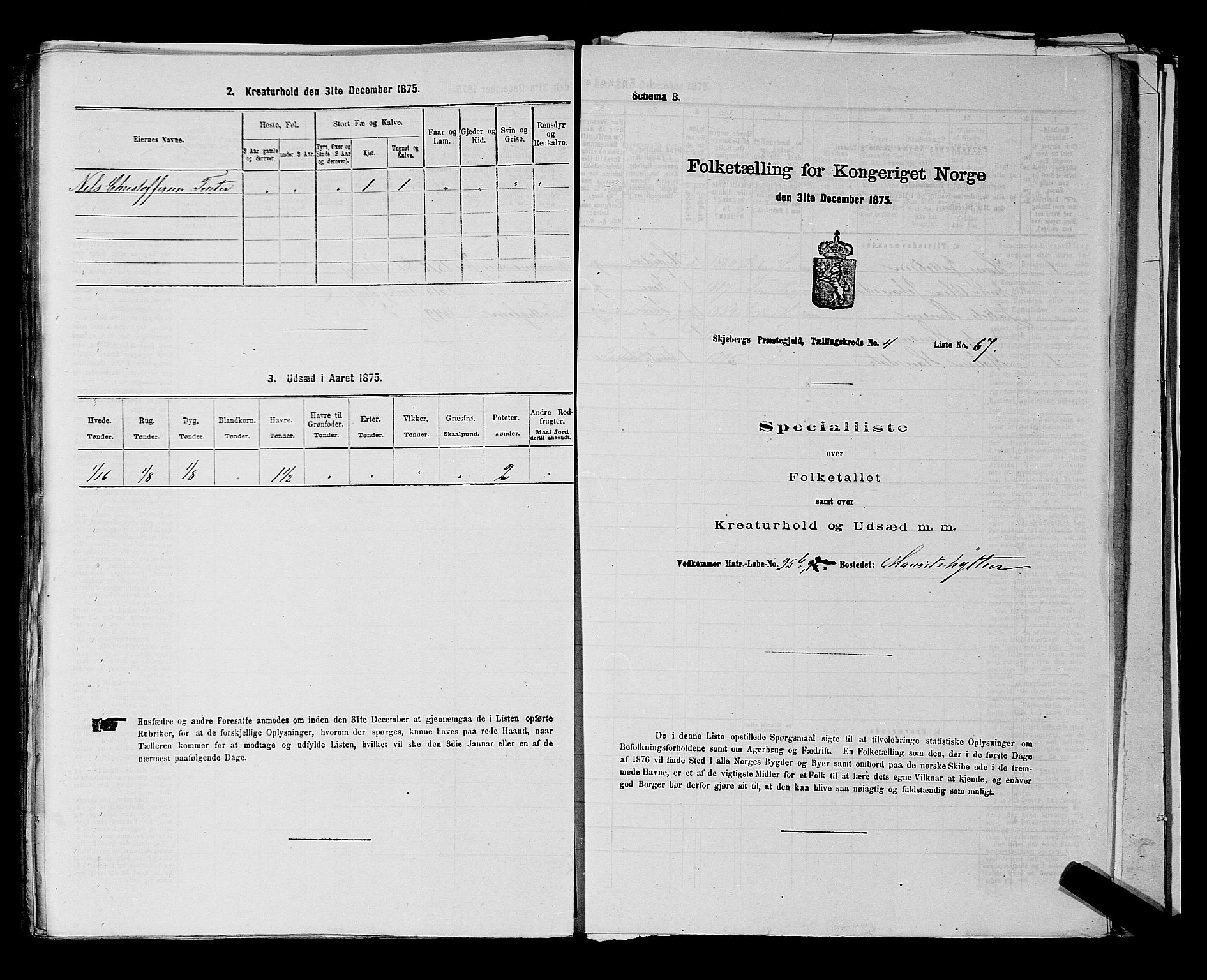 RA, 1875 census for 0115P Skjeberg, 1875, p. 842