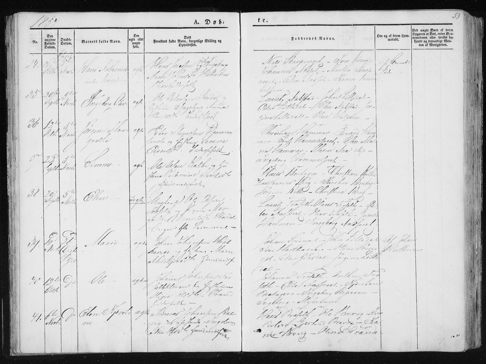 Ministerialprotokoller, klokkerbøker og fødselsregistre - Nord-Trøndelag, SAT/A-1458/733/L0323: Parish register (official) no. 733A02, 1843-1870, p. 53