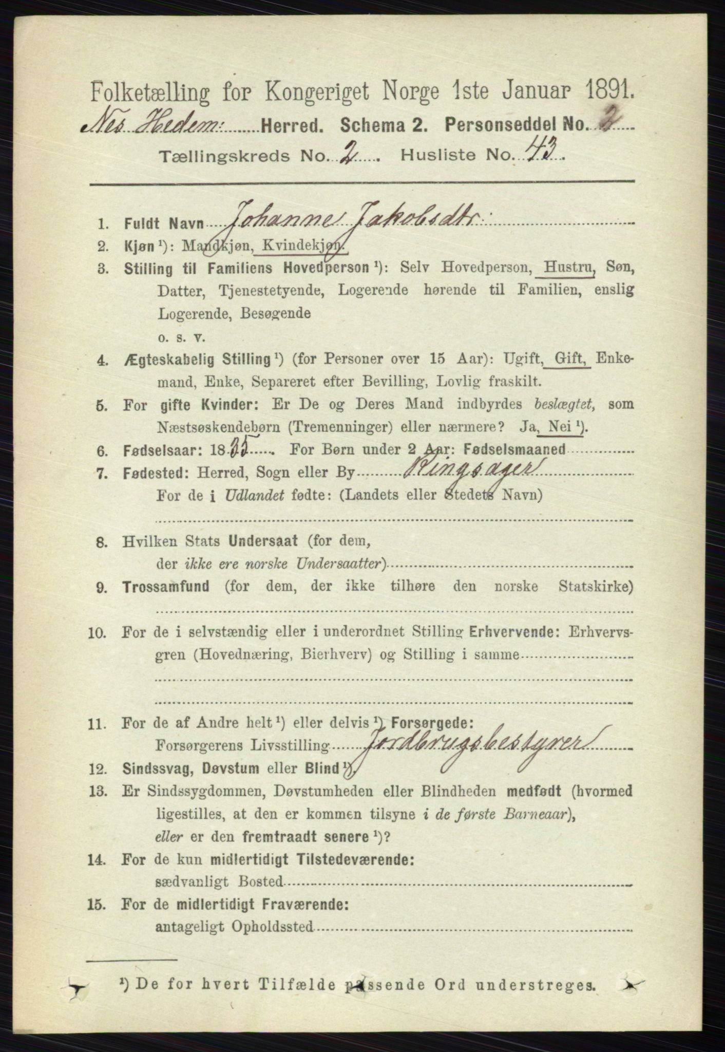 RA, 1891 census for 0411 Nes, 1891, p. 1386