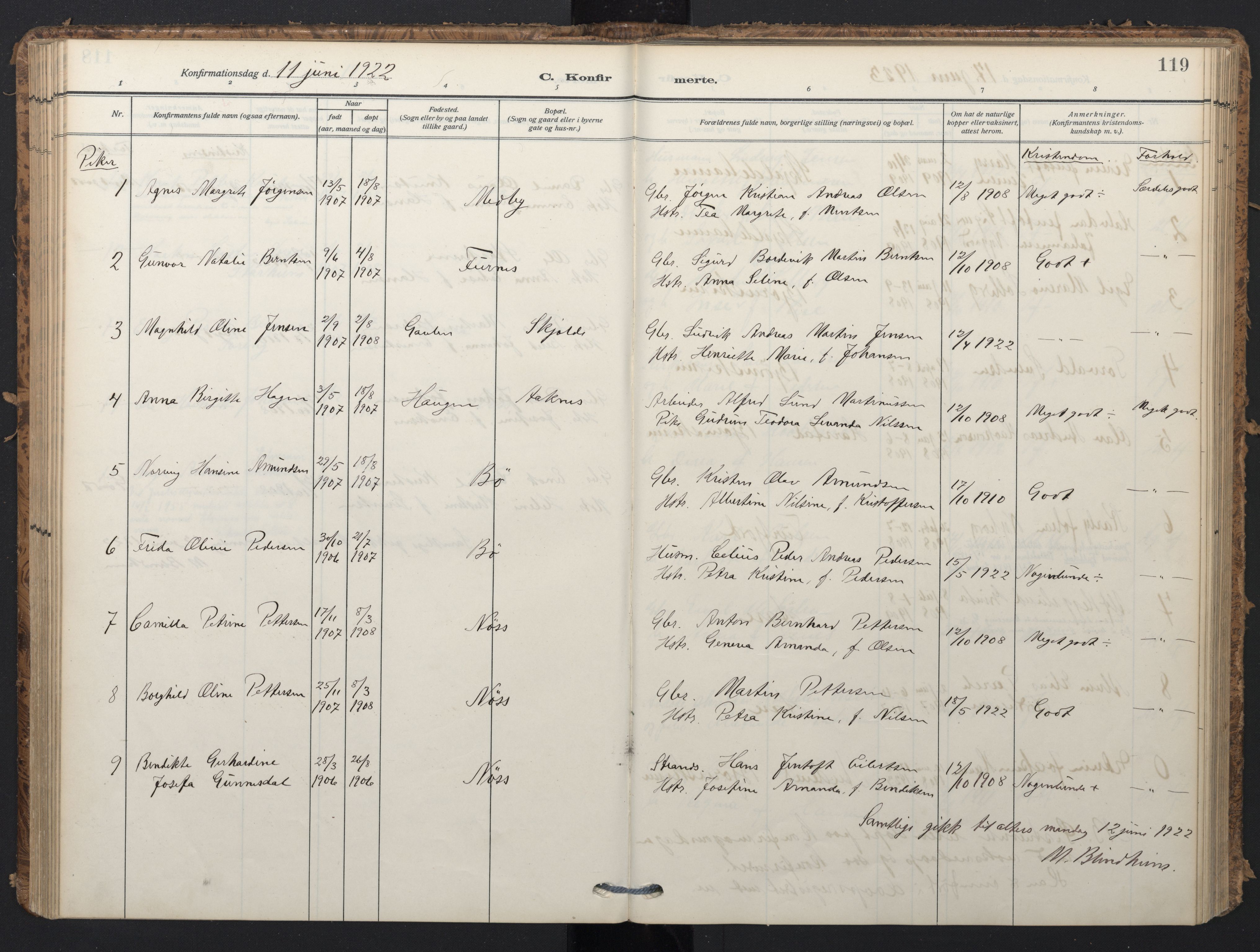 Ministerialprotokoller, klokkerbøker og fødselsregistre - Nordland, AV/SAT-A-1459/898/L1423: Parish register (official) no. 898A03, 1909-1928, p. 119