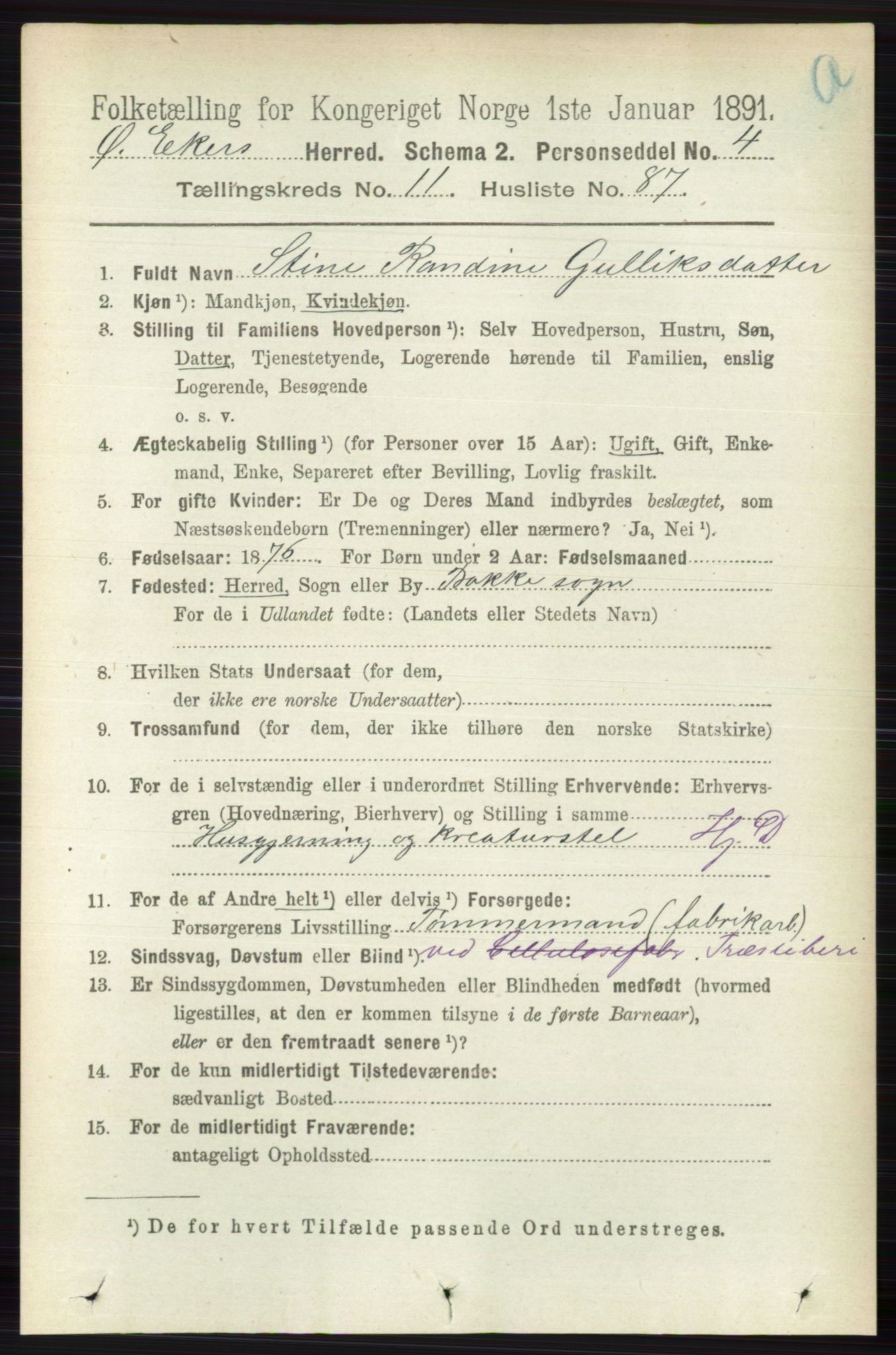 RA, 1891 census for 0624 Øvre Eiker, 1891, p. 5133