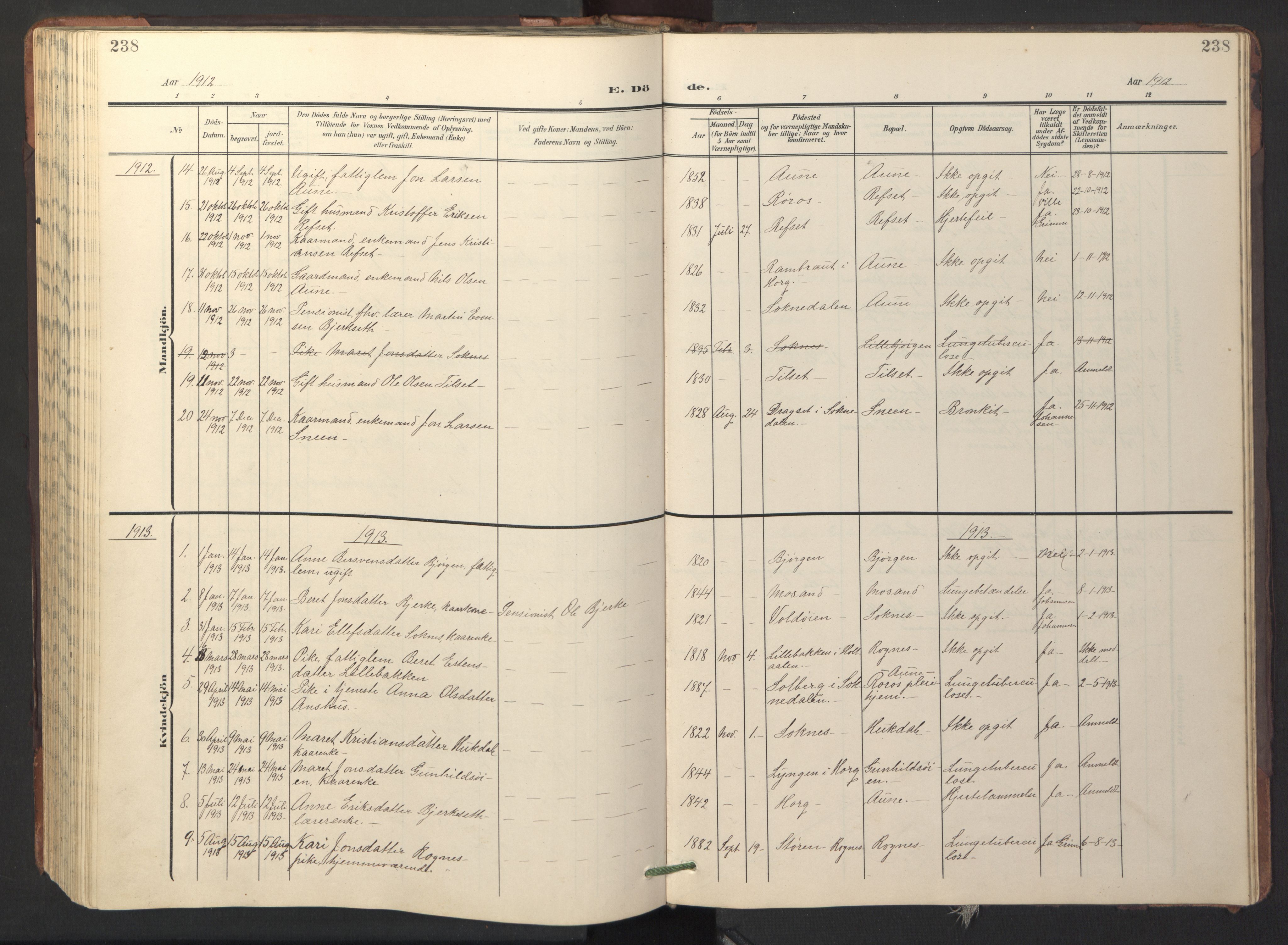Ministerialprotokoller, klokkerbøker og fødselsregistre - Sør-Trøndelag, SAT/A-1456/687/L1019: Parish register (copy) no. 687C03, 1904-1931, p. 238