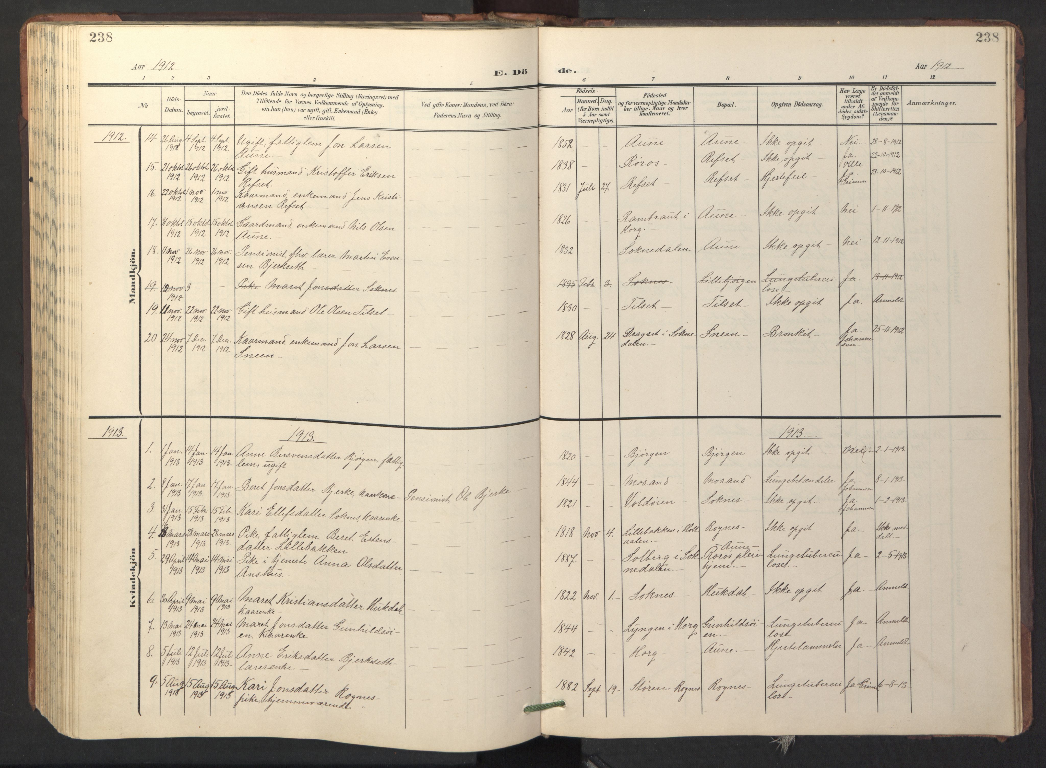 Ministerialprotokoller, klokkerbøker og fødselsregistre - Sør-Trøndelag, AV/SAT-A-1456/687/L1019: Parish register (copy) no. 687C03, 1904-1931, p. 238