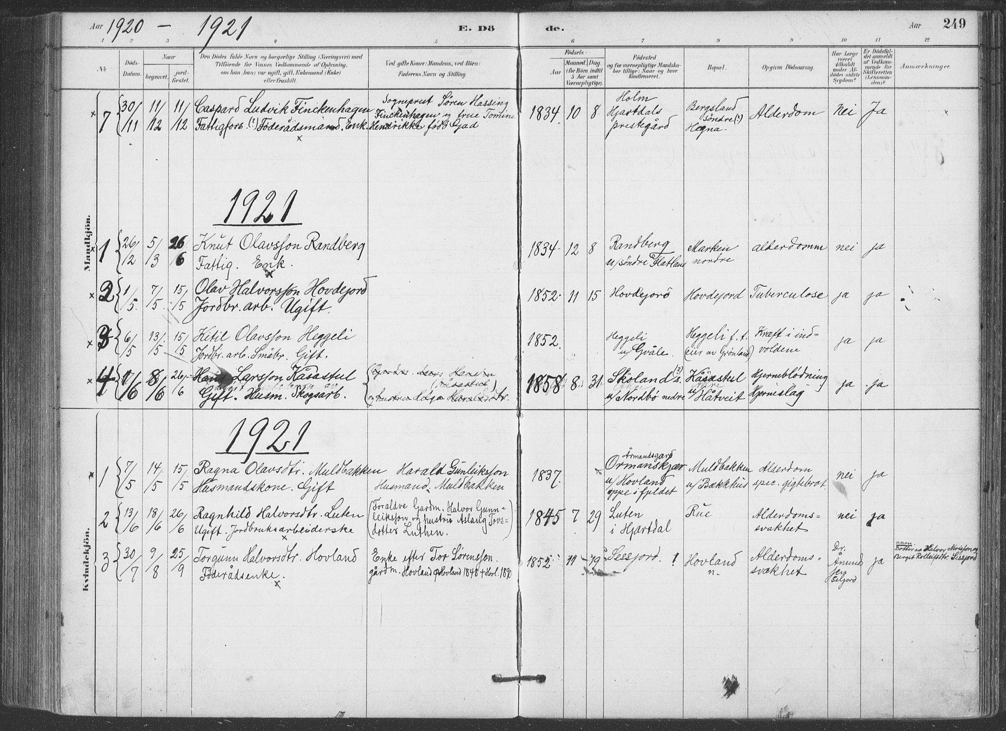 Hjartdal kirkebøker, SAKO/A-270/F/Fa/L0010: Parish register (official) no. I 10, 1880-1929, p. 249