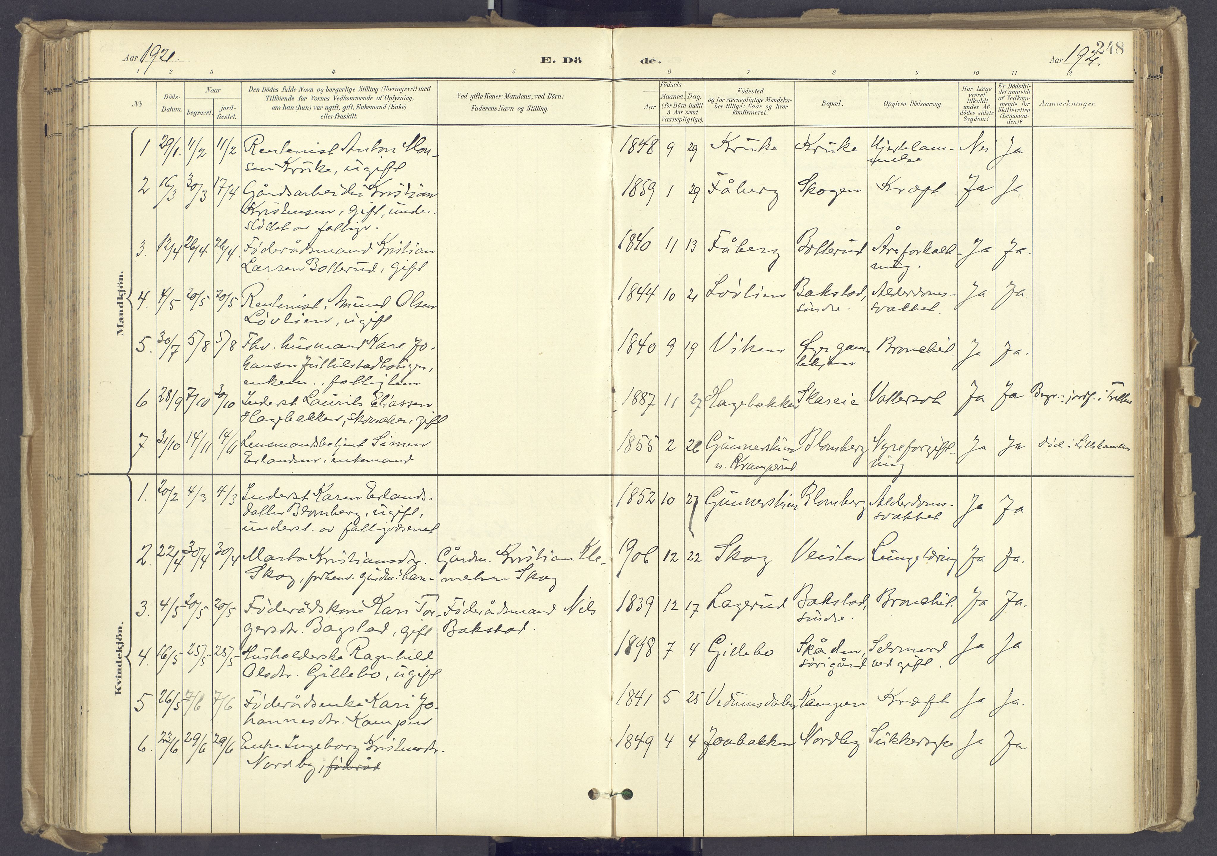 Øyer prestekontor, AV/SAH-PREST-084/H/Ha/Haa/L0012: Parish register (official) no. 12, 1897-1920, p. 248