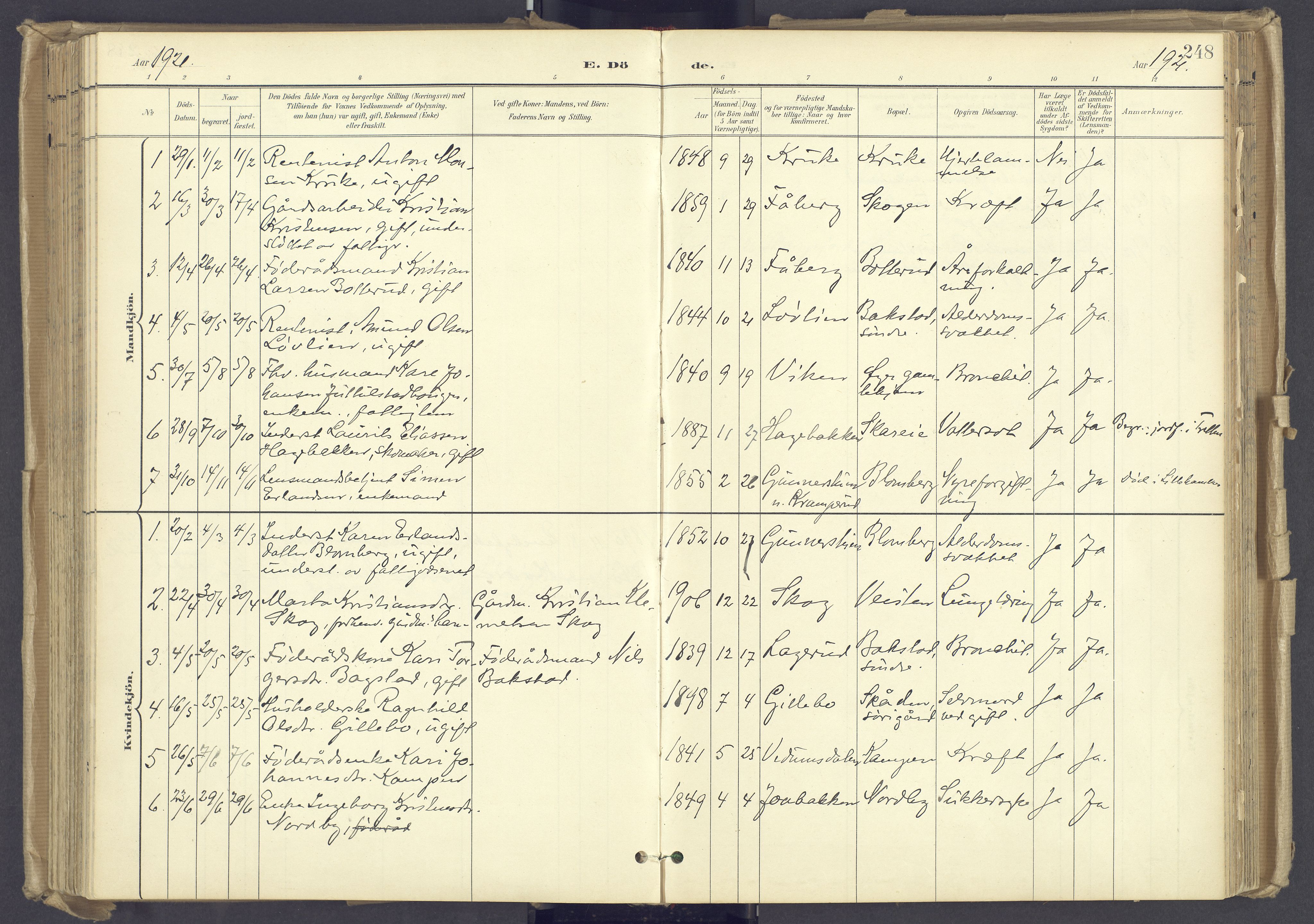 Øyer prestekontor, SAH/PREST-084/H/Ha/Haa/L0012: Parish register (official) no. 12, 1897-1920, p. 248