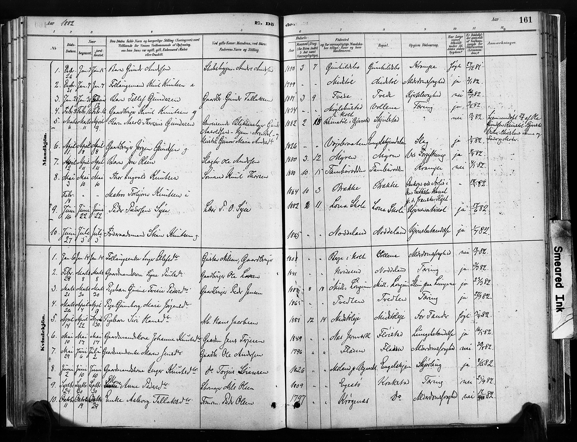 Austre Moland sokneprestkontor, SAK/1111-0001/F/Fa/Faa/L0010: Parish register (official) no. A 10, 1880-1904, p. 161