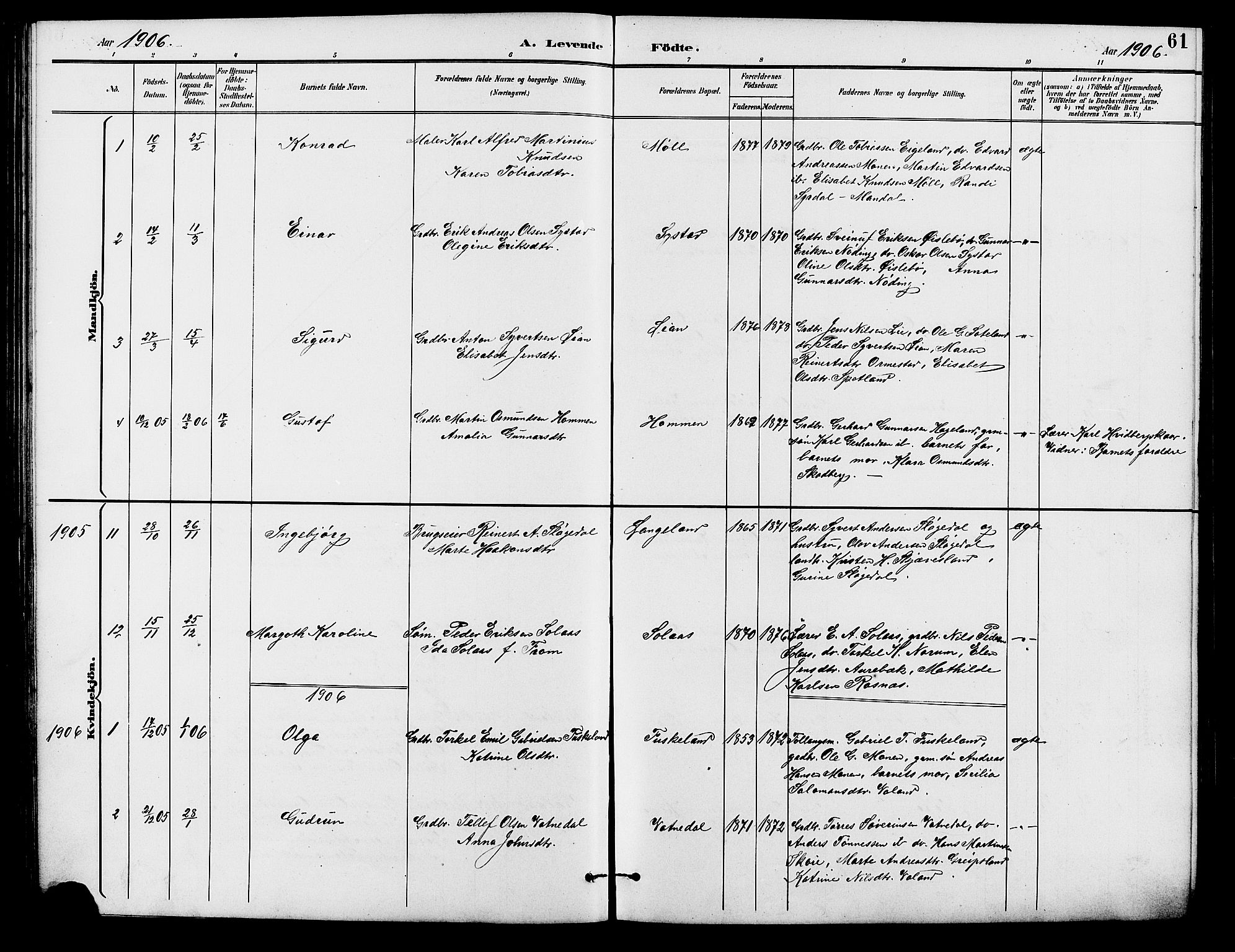 Holum sokneprestkontor, SAK/1111-0022/F/Fb/Fba/L0005: Parish register (copy) no. B 5, 1891-1909, p. 61