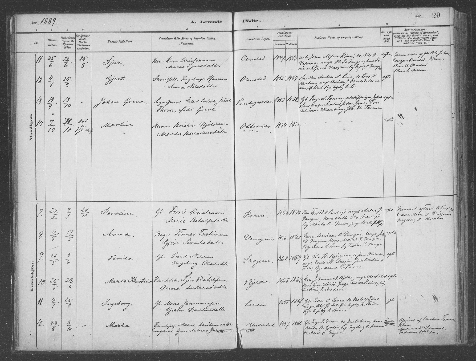 Aurland sokneprestembete, SAB/A-99937/H/Ha/Hab/L0001: Parish register (official) no. B  1, 1880-1909, p. 29