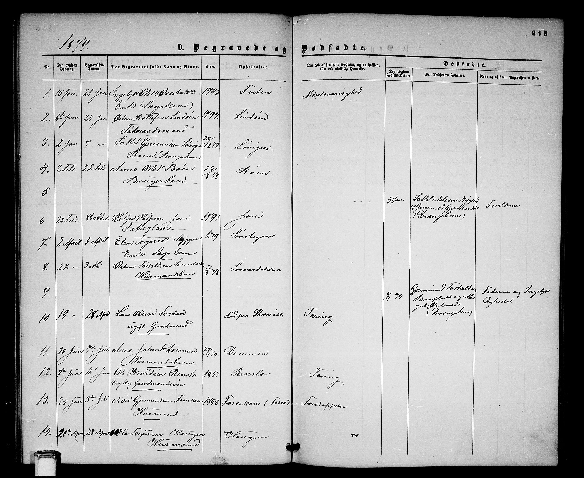 Gransherad kirkebøker, SAKO/A-267/G/Gb/L0002: Parish register (copy) no. II 2, 1860-1886, p. 215