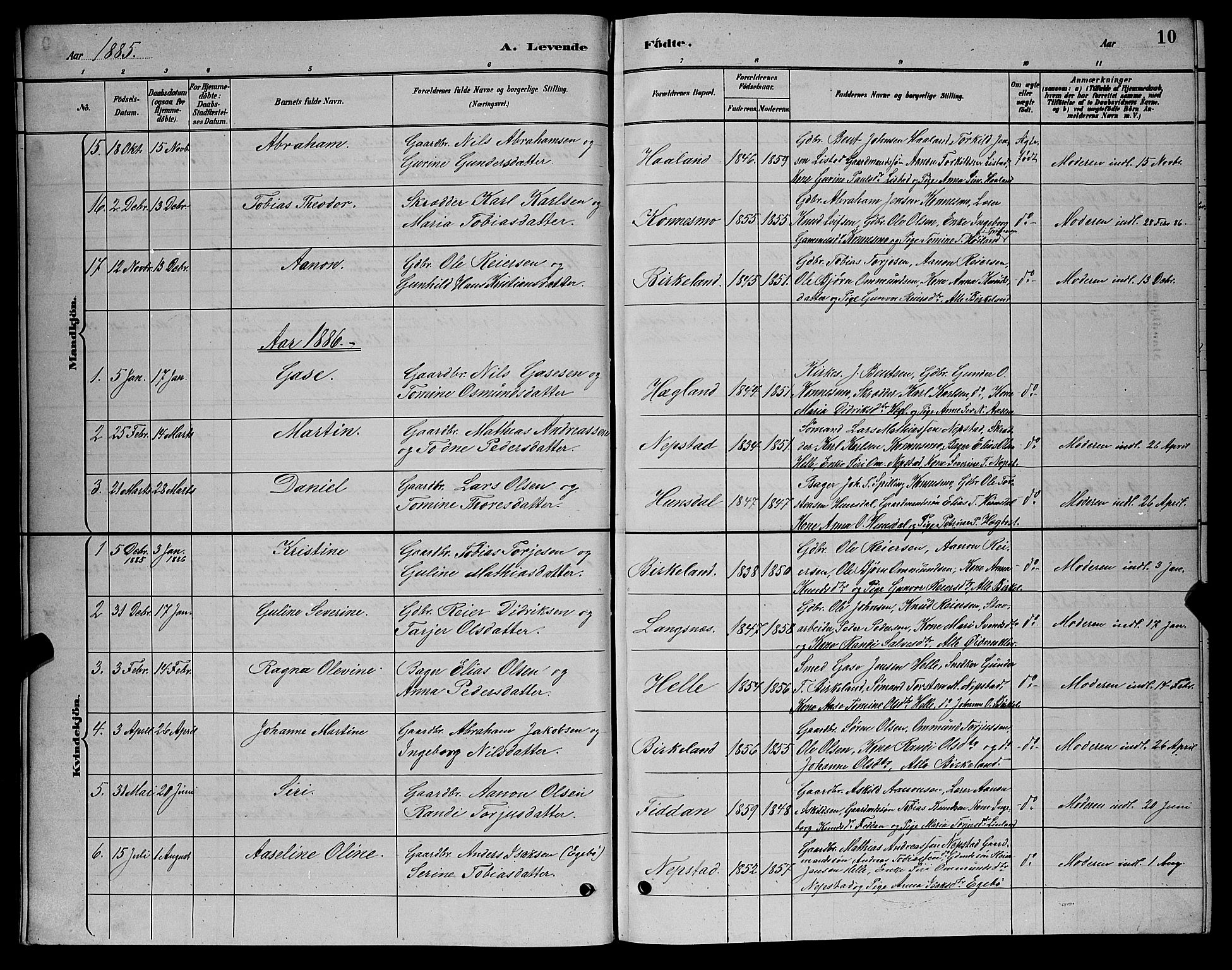 Nord-Audnedal sokneprestkontor, AV/SAK-1111-0032/F/Fb/Fba/L0003: Parish register (copy) no. B 3, 1881-1900, p. 10