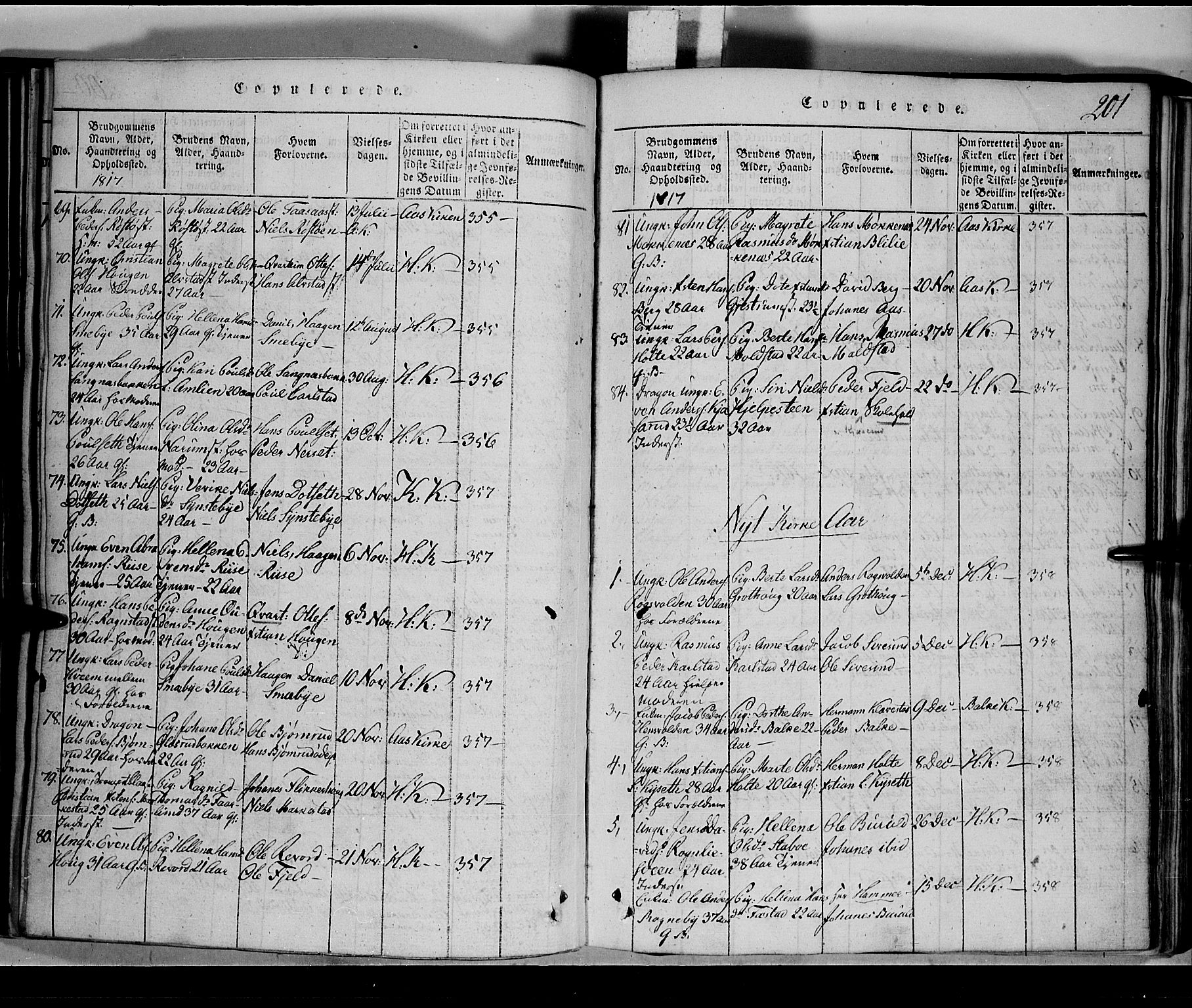 Toten prestekontor, SAH/PREST-102/H/Ha/Hab/L0001: Parish register (copy) no. 1, 1814-1820, p. 201