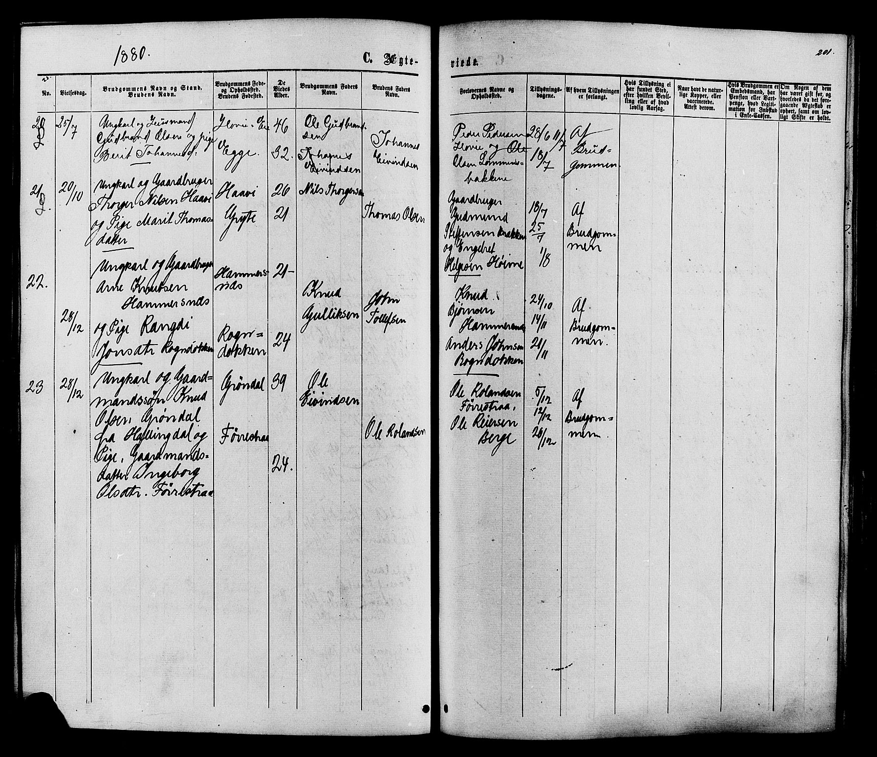 Vestre Slidre prestekontor, SAH/PREST-136/H/Ha/Haa/L0003: Parish register (official) no. 3, 1865-1880, p. 201