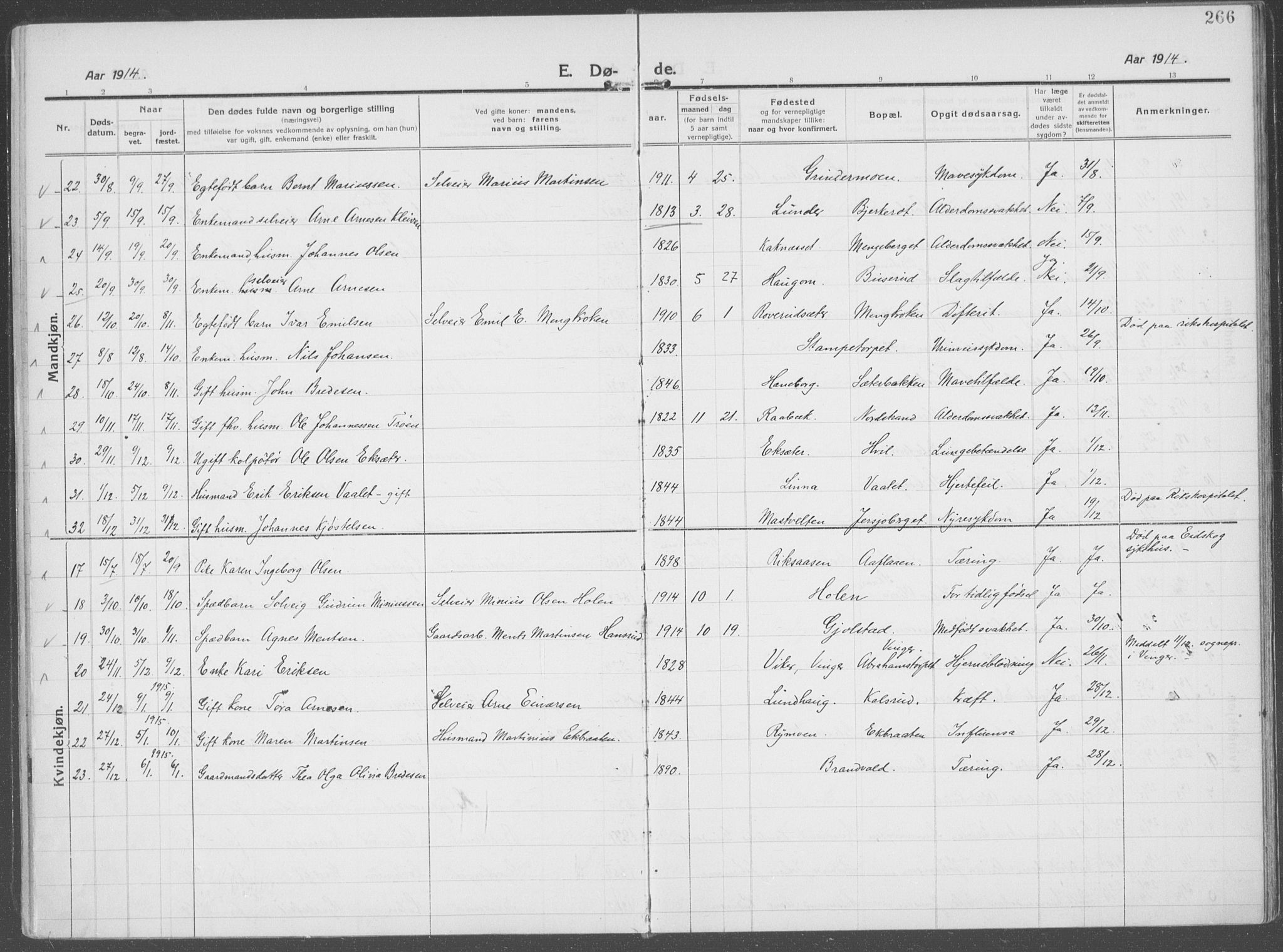 Brandval prestekontor, AV/SAH-PREST-034/H/Ha/Haa/L0004: Parish register (official) no. 4, 1910-1924, p. 266