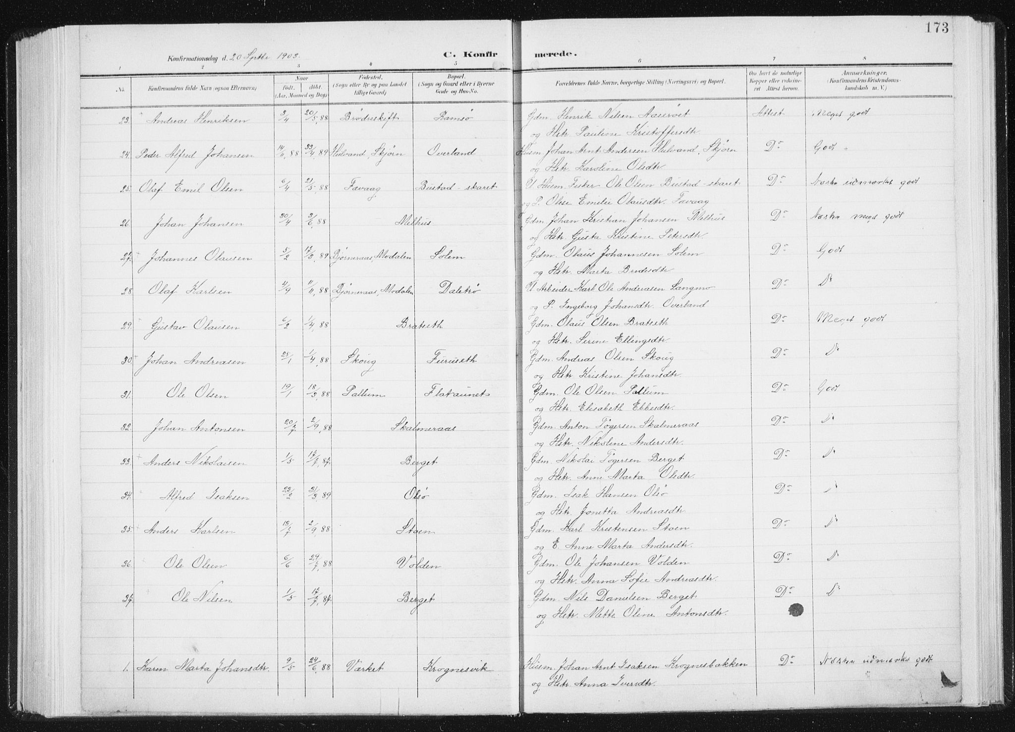 Ministerialprotokoller, klokkerbøker og fødselsregistre - Sør-Trøndelag, AV/SAT-A-1456/647/L0635: Parish register (official) no. 647A02, 1896-1911, p. 173