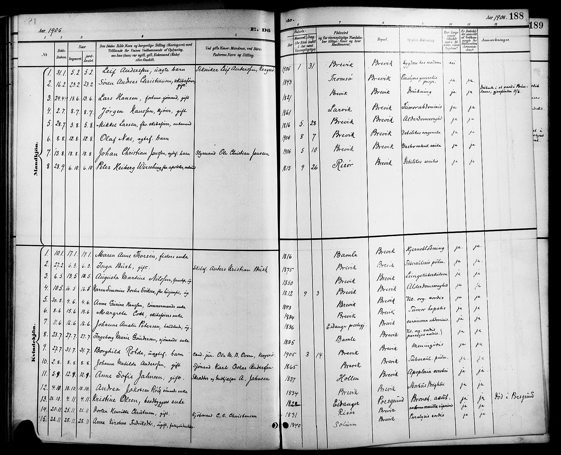 Brevik kirkebøker, AV/SAKO-A-255/G/Ga/L0005: Parish register (copy) no. 5, 1901-1924, p. 188