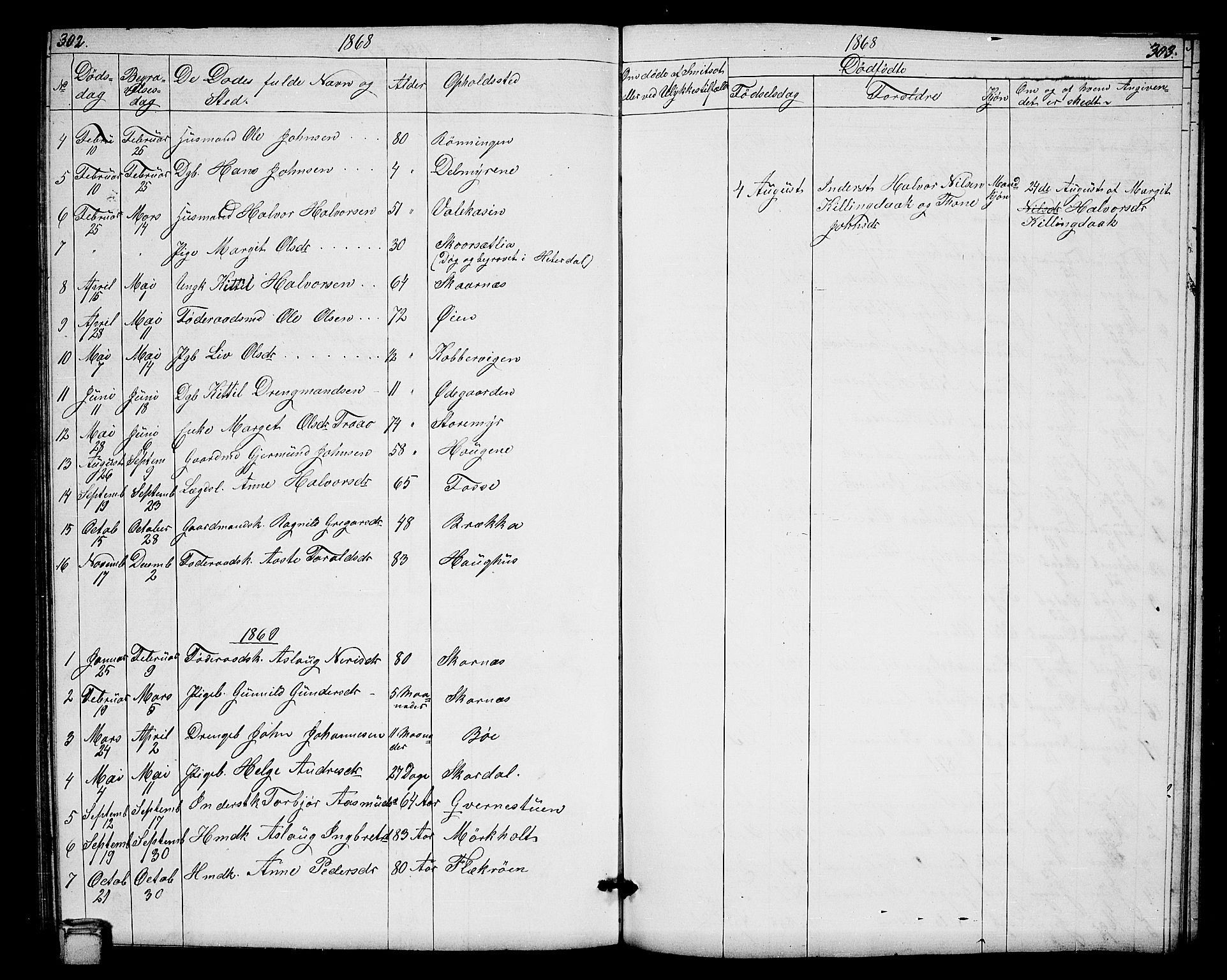 Hjartdal kirkebøker, SAKO/A-270/G/Gb/L0002: Parish register (copy) no. II 2, 1854-1884, p. 302-303