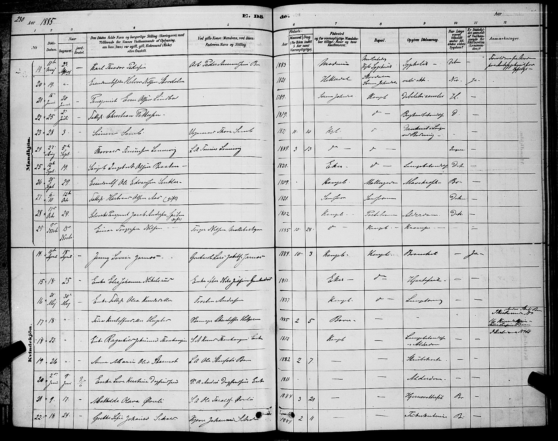 Kongsberg kirkebøker, AV/SAKO-A-22/G/Ga/L0005: Parish register (copy) no. 5, 1878-1889, p. 230