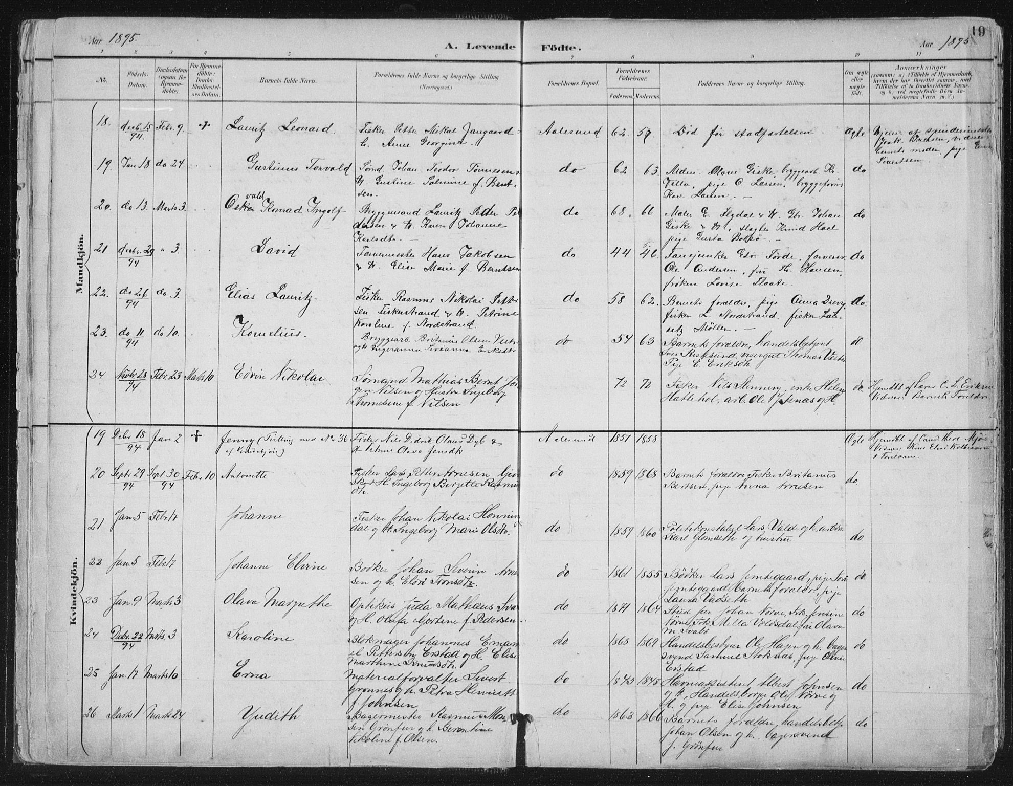 Ministerialprotokoller, klokkerbøker og fødselsregistre - Møre og Romsdal, AV/SAT-A-1454/529/L0456: Parish register (official) no. 529A06, 1894-1906, p. 19