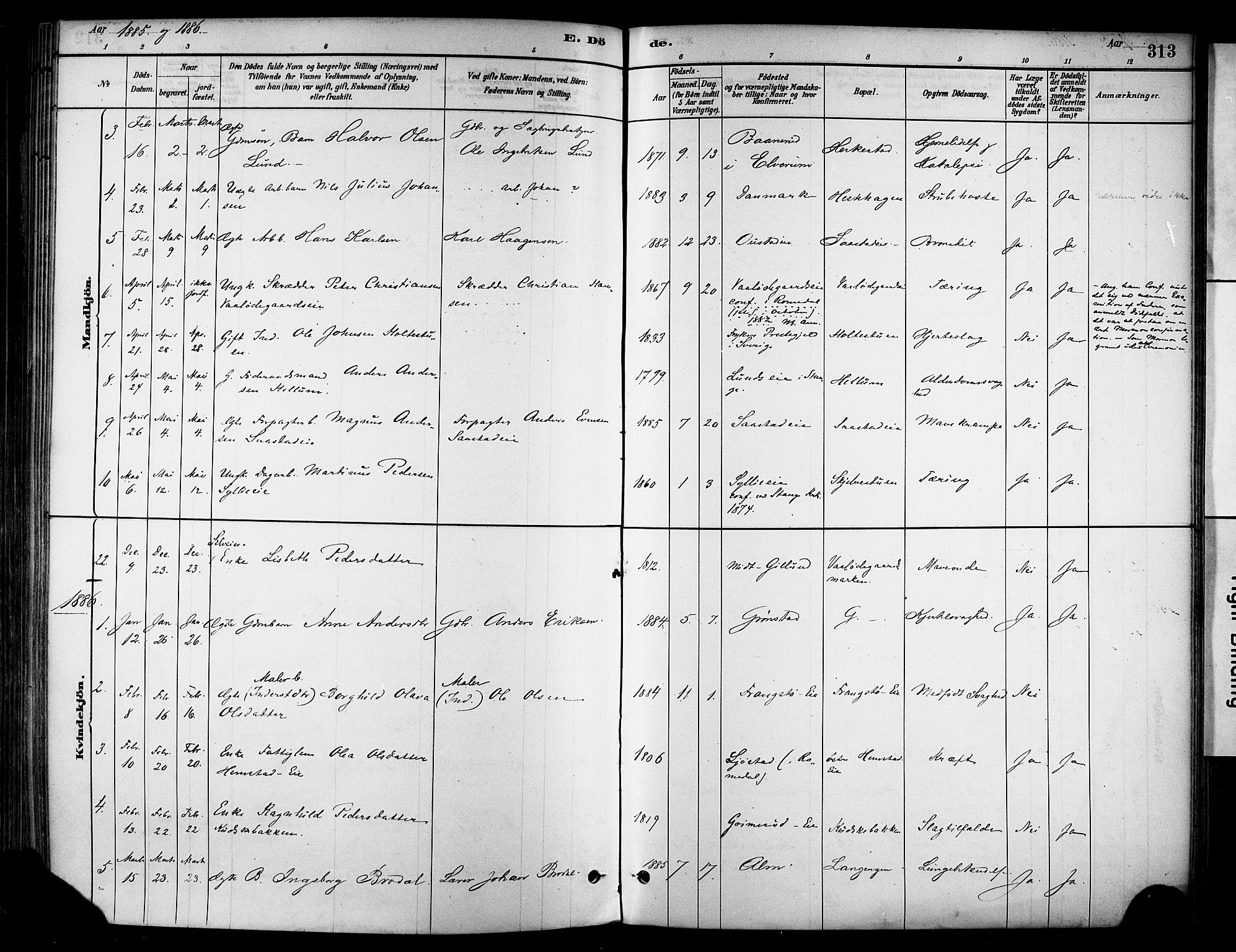 Stange prestekontor, AV/SAH-PREST-002/K/L0017: Parish register (official) no. 17, 1880-1893, p. 313