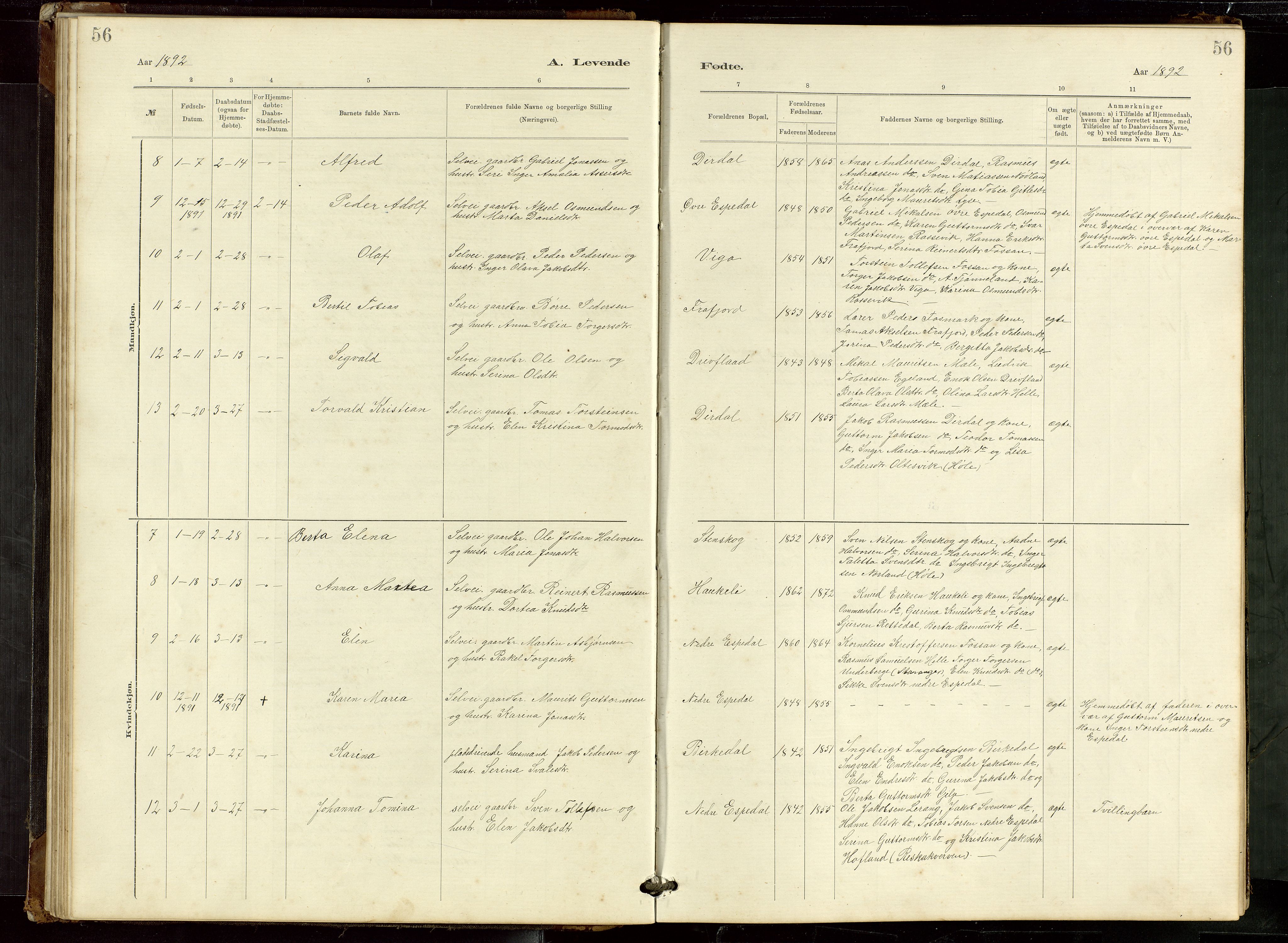 Høgsfjord sokneprestkontor, SAST/A-101624/H/Ha/Hab/L0009: Parish register (copy) no. B 9, 1883-1920, p. 56