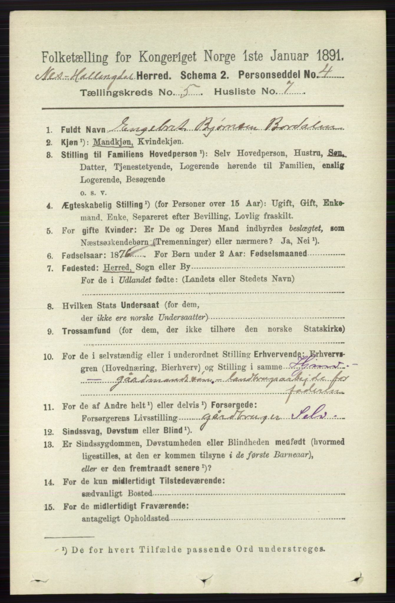 RA, 1891 census for 0616 Nes, 1891, p. 2665