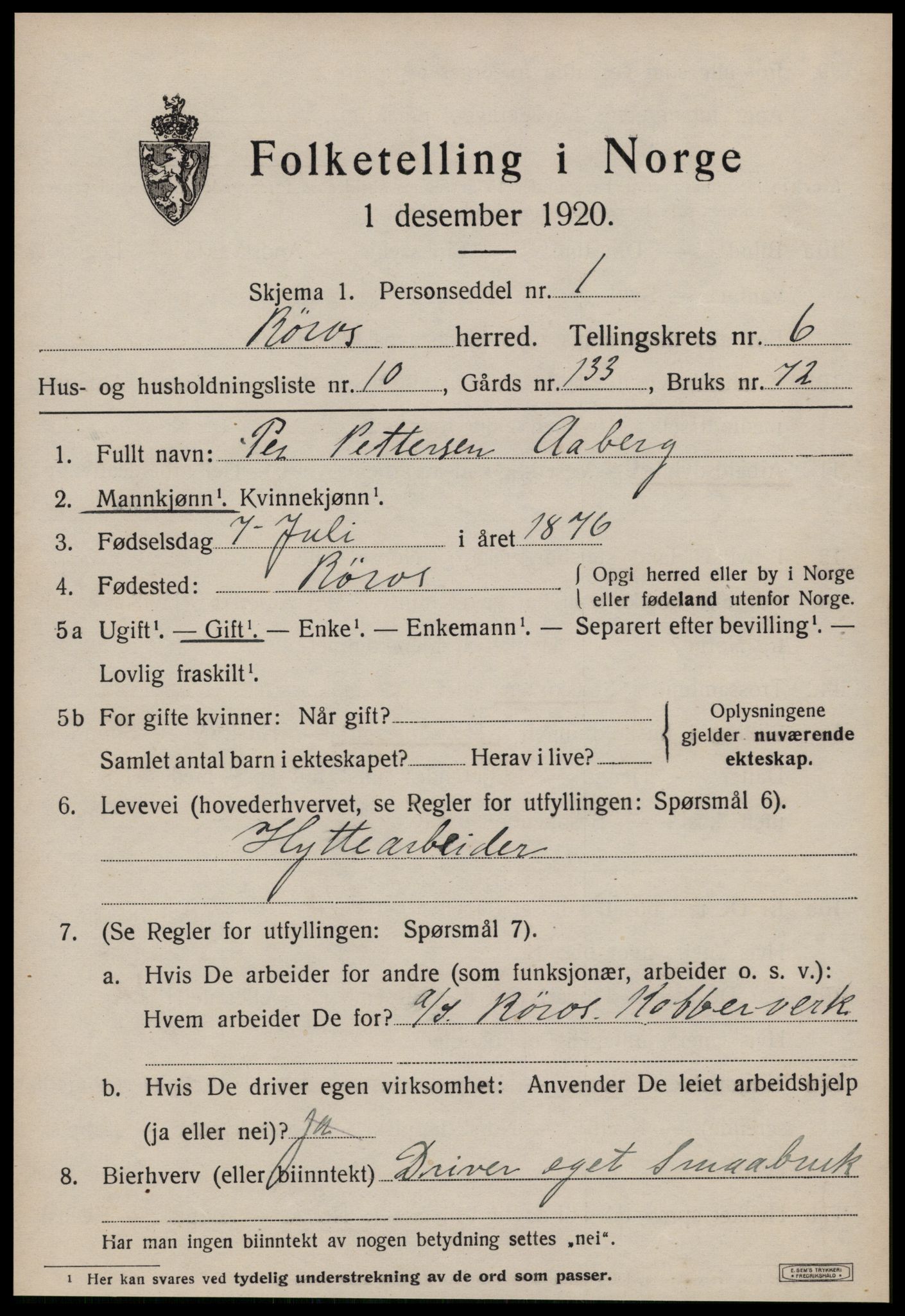SAT, 1920 census for Røros, 1920, p. 6318