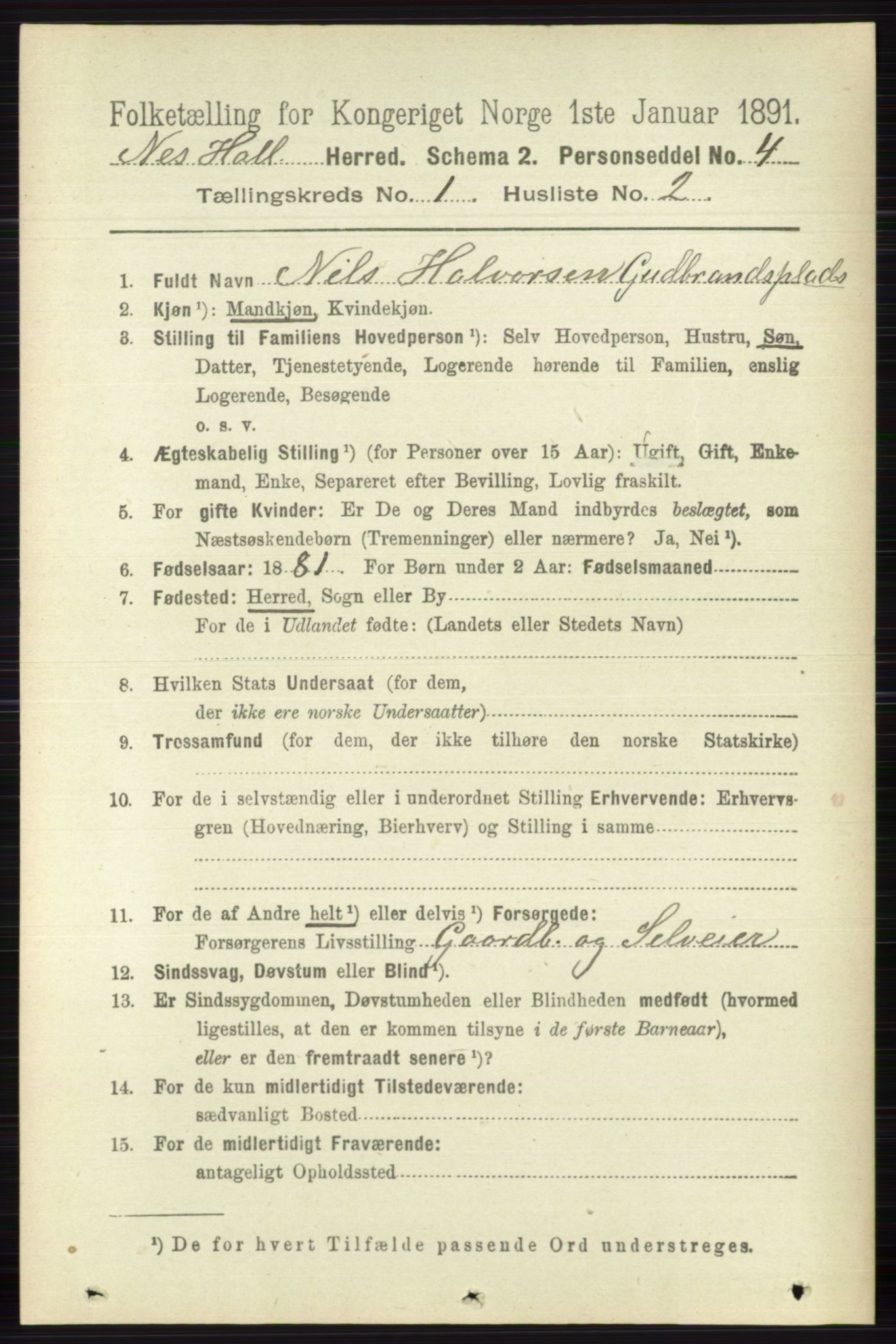 RA, 1891 census for 0616 Nes, 1891, p. 182