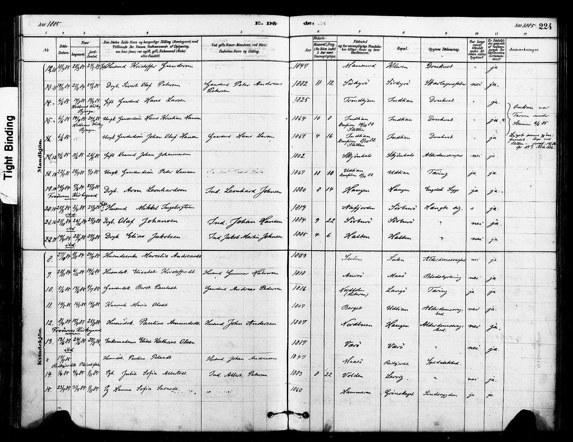Ministerialprotokoller, klokkerbøker og fødselsregistre - Sør-Trøndelag, SAT/A-1456/640/L0578: Parish register (official) no. 640A03, 1879-1889, p. 224